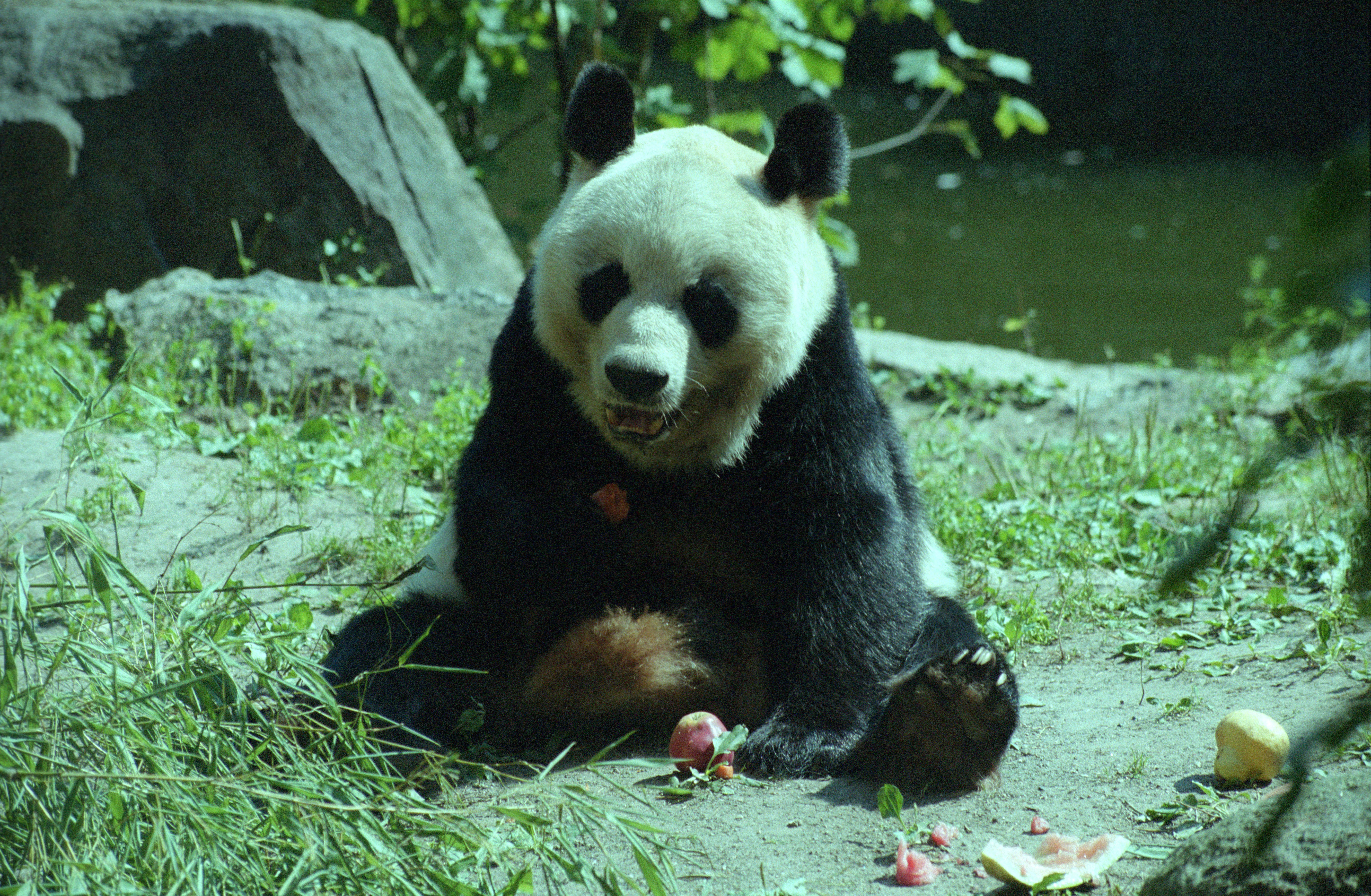 Zoo Berlin