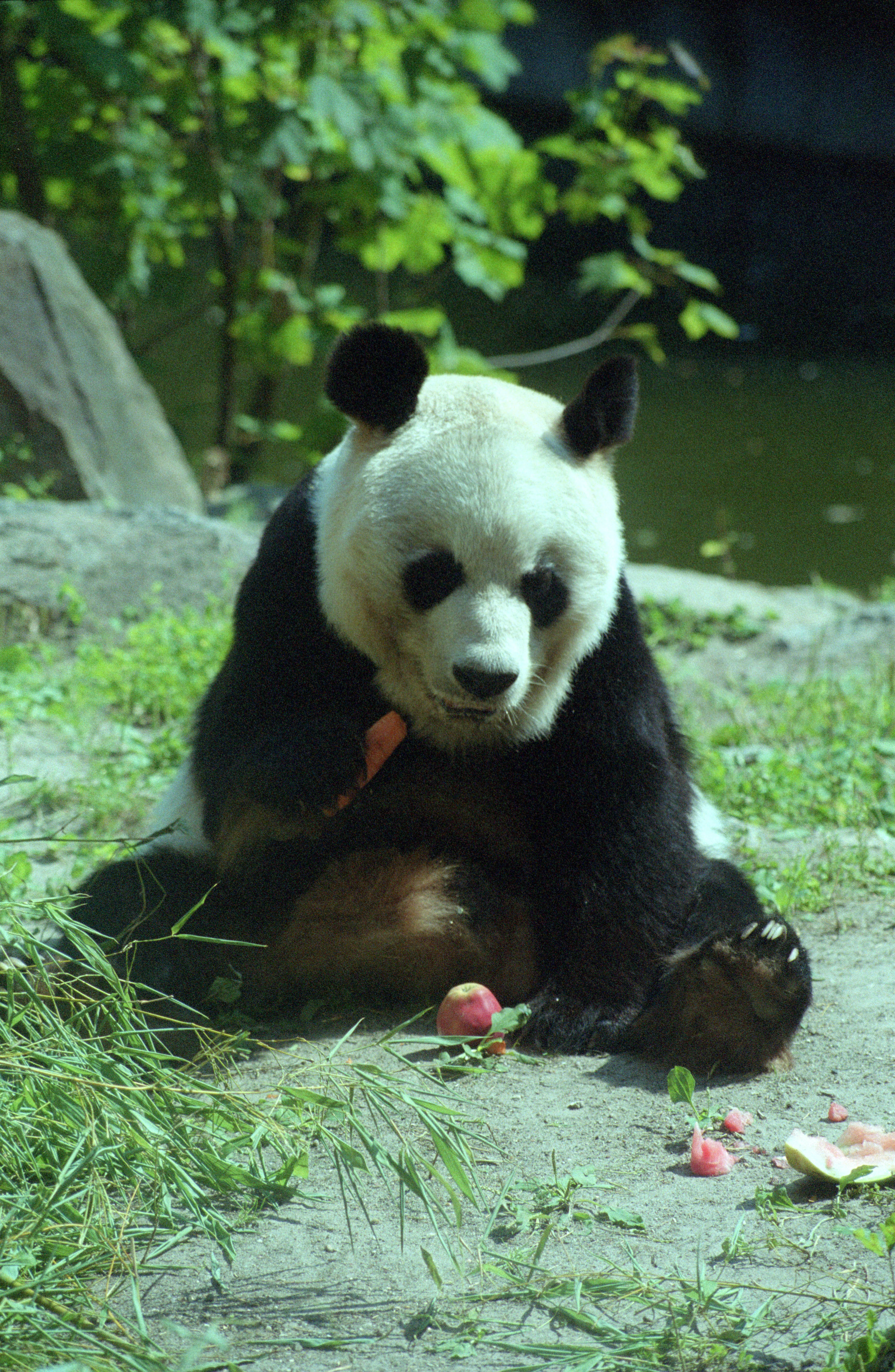 Zoo Berlin