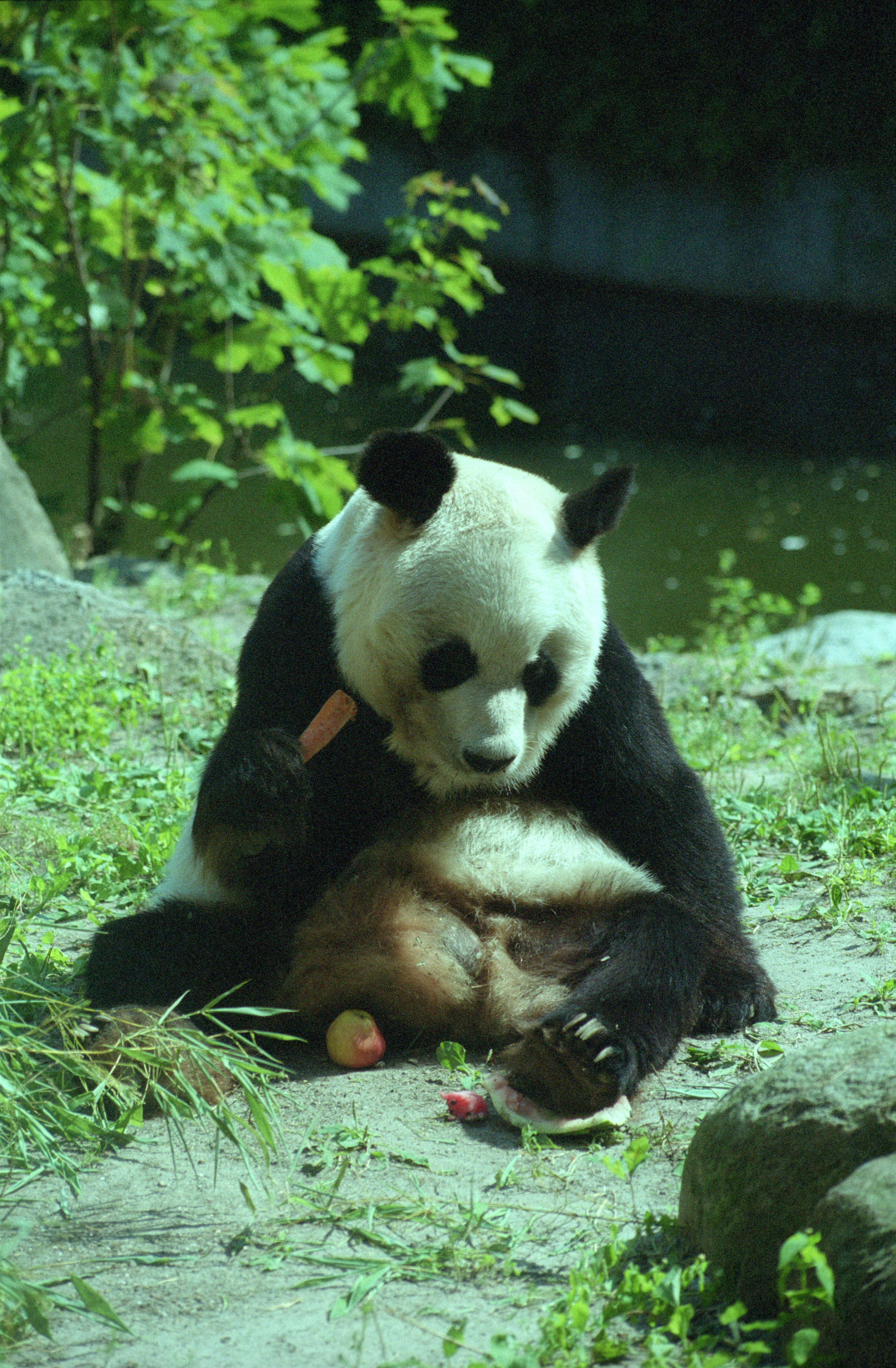 Zoo Berlin
