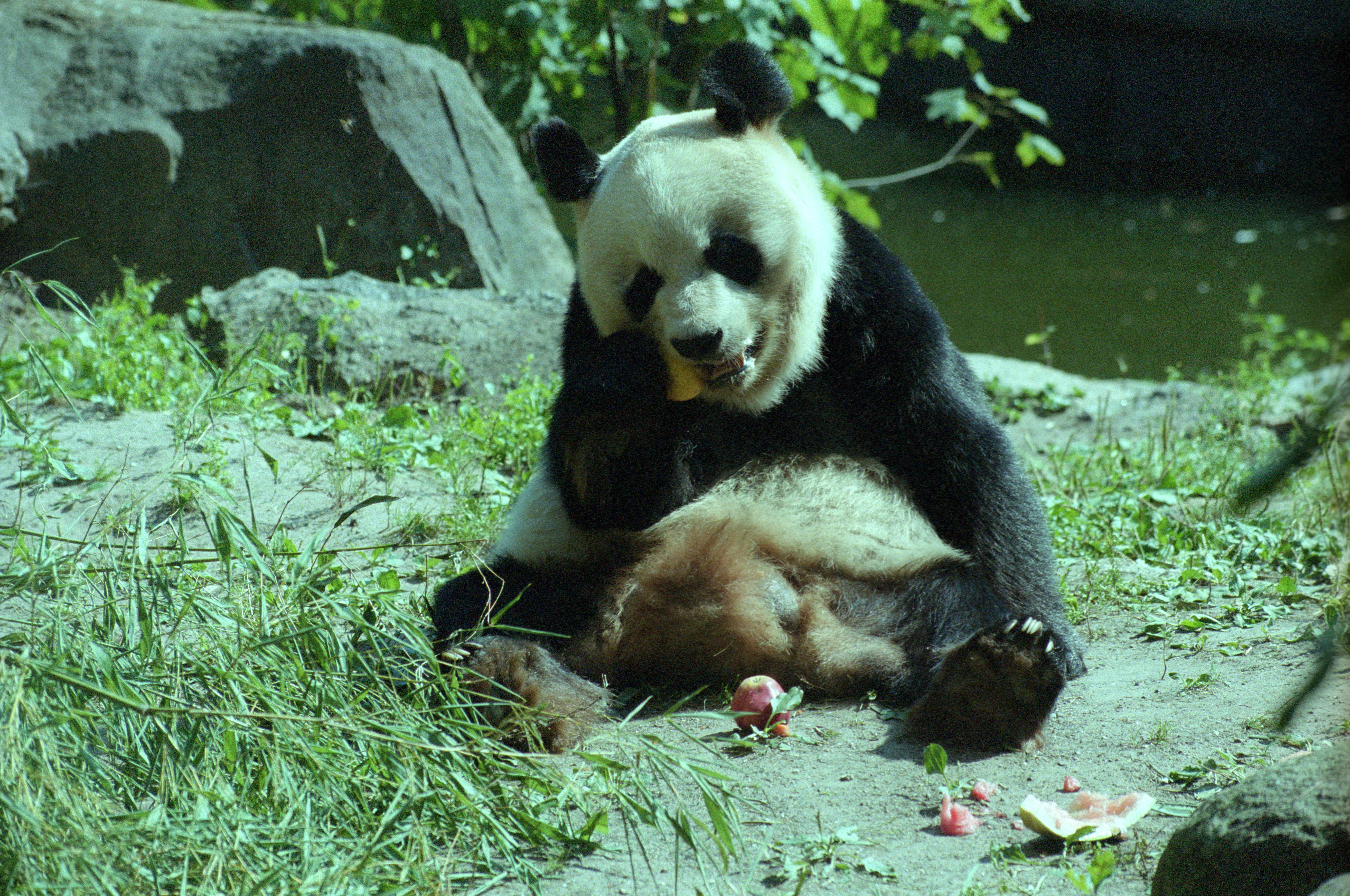 Zoo Berlin