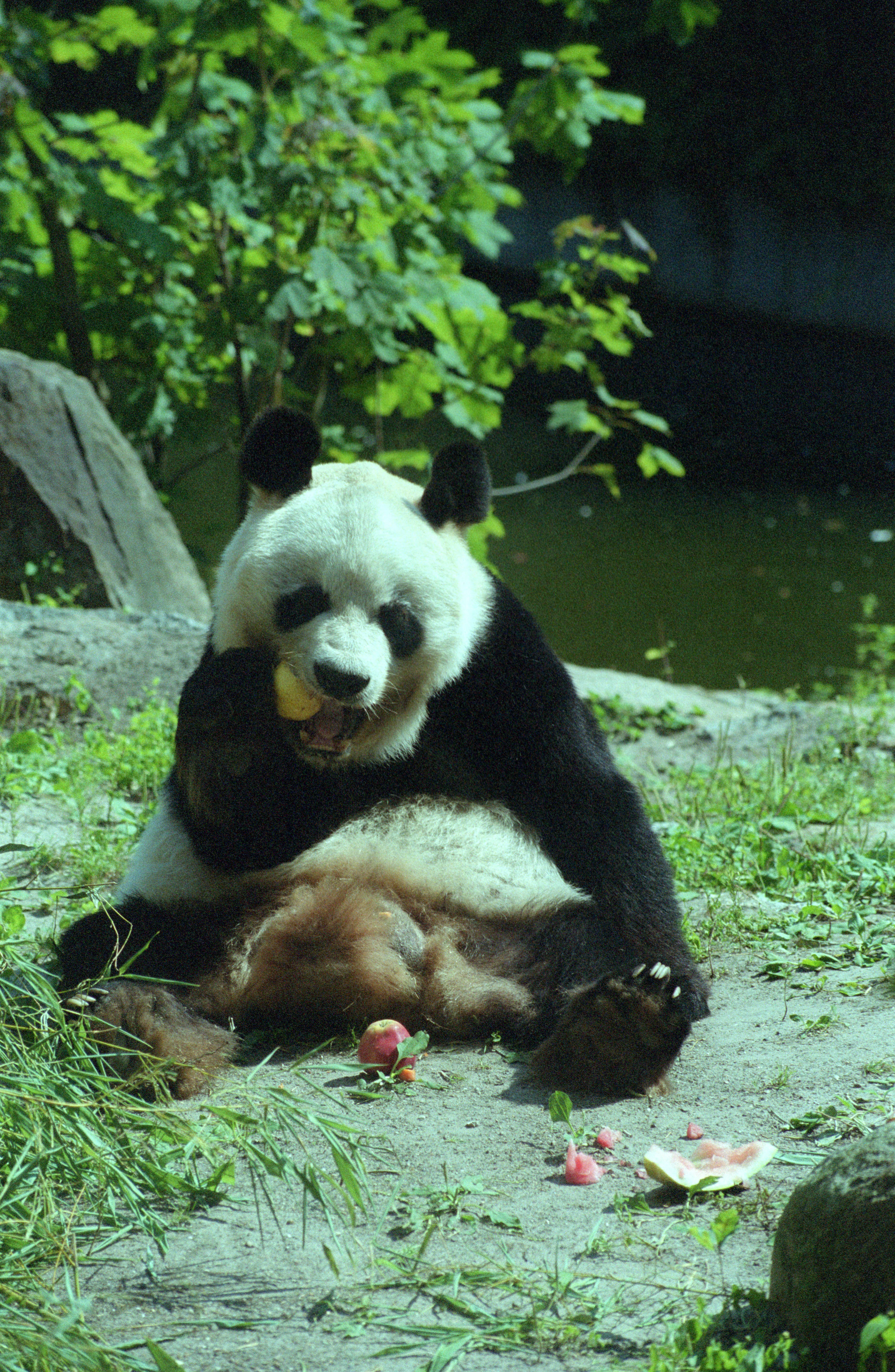 Zoo Berlin