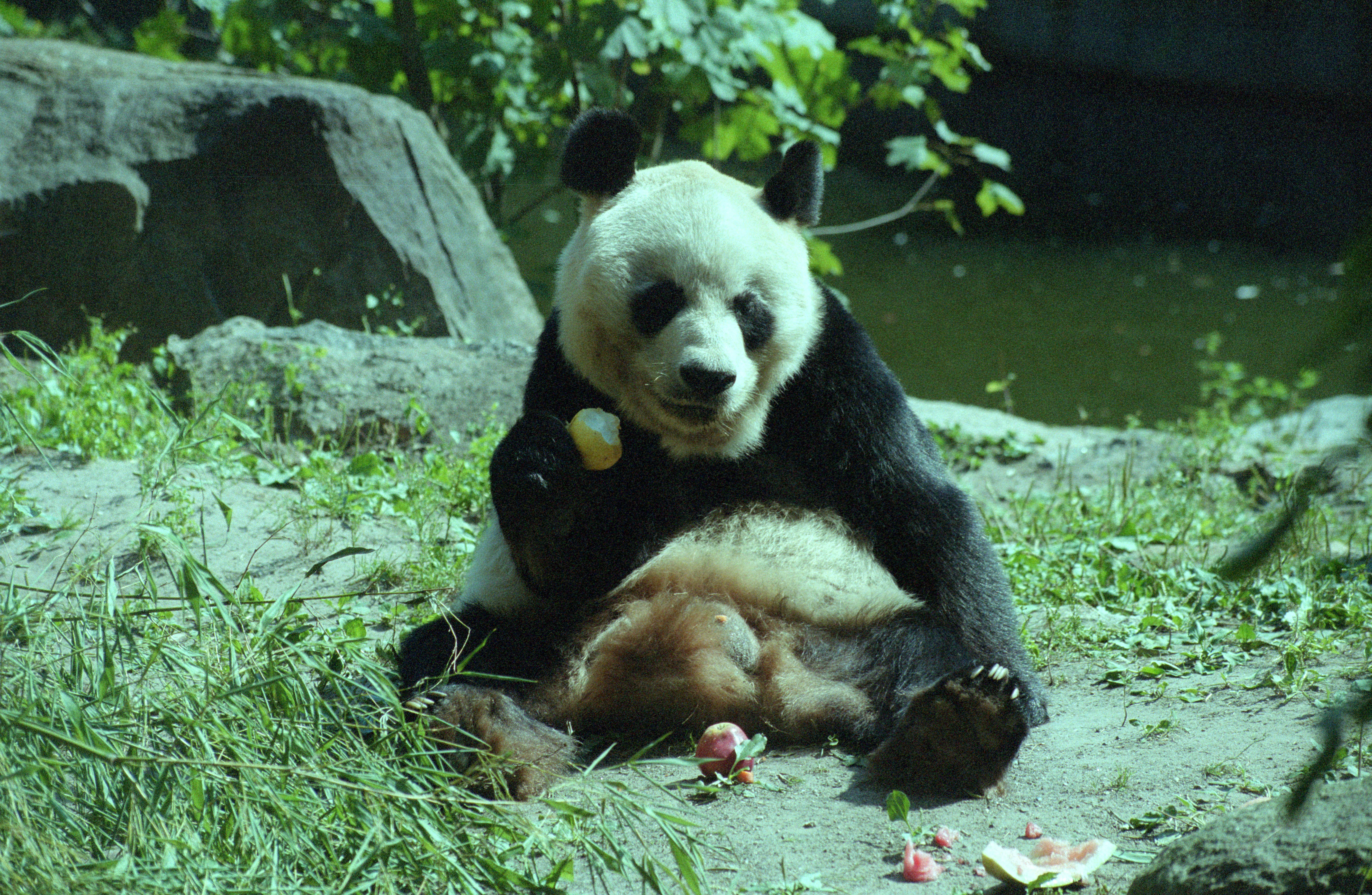 Zoo Berlin