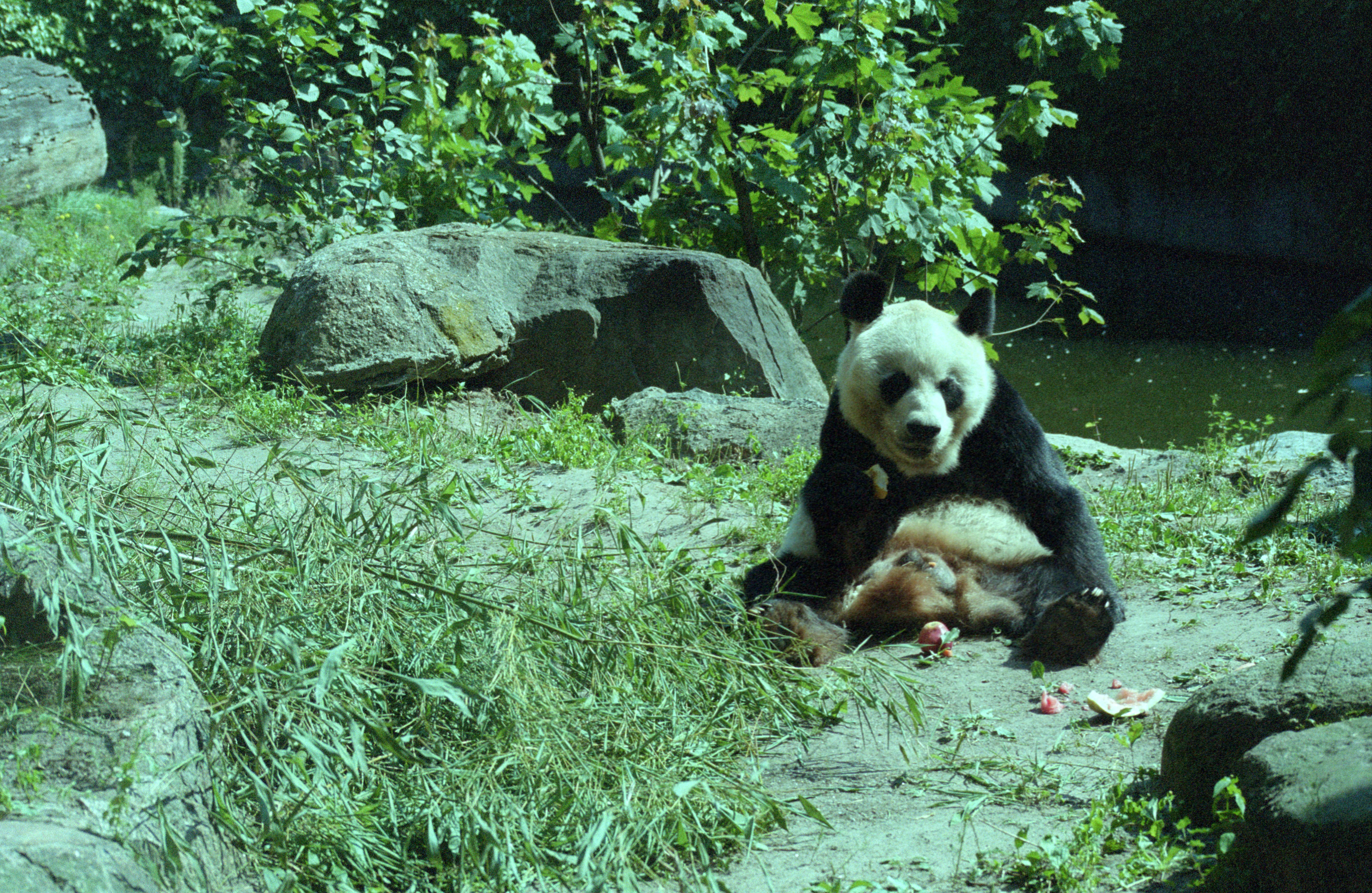 Zoo Berlin