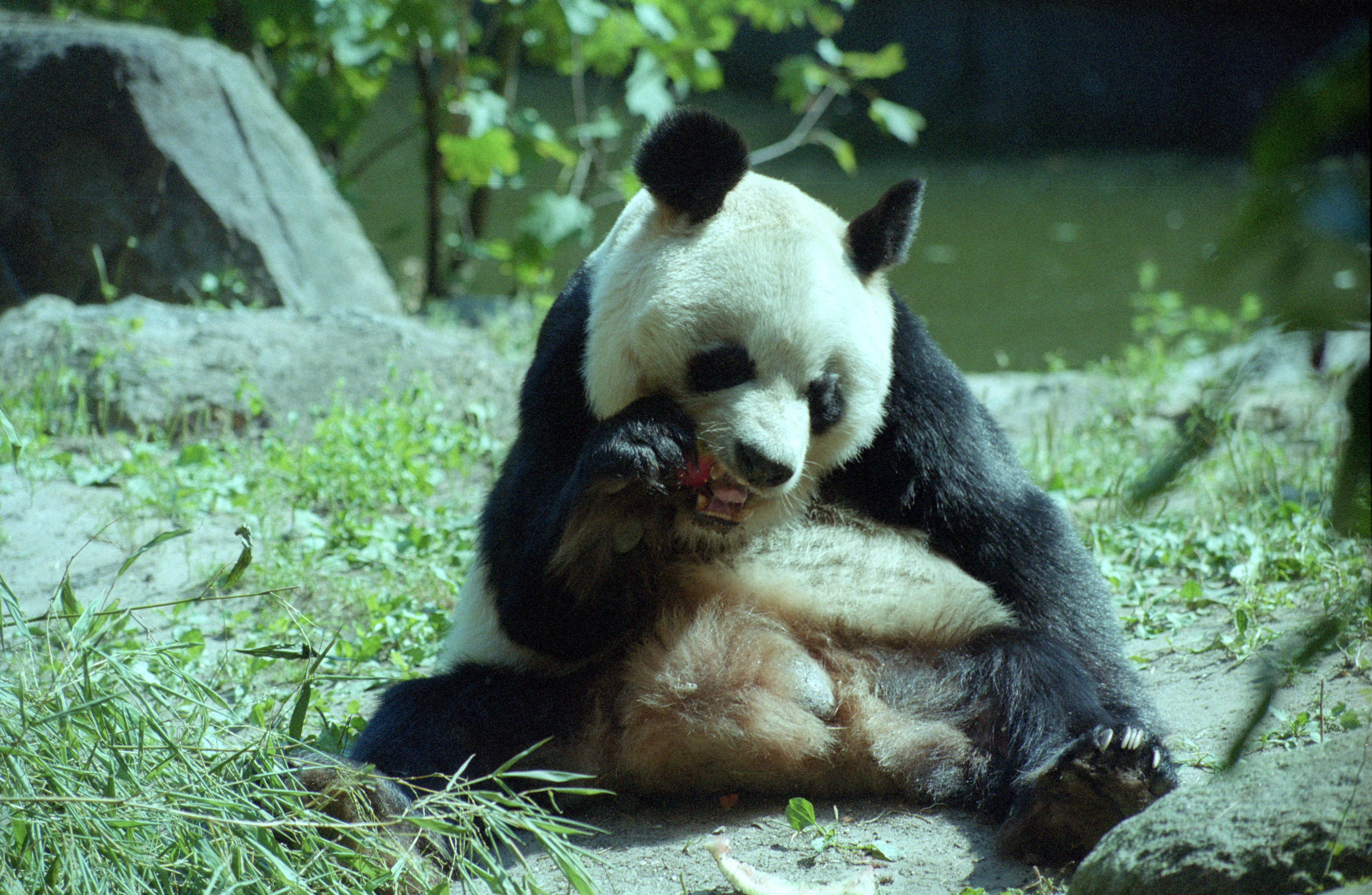 Zoo Berlin