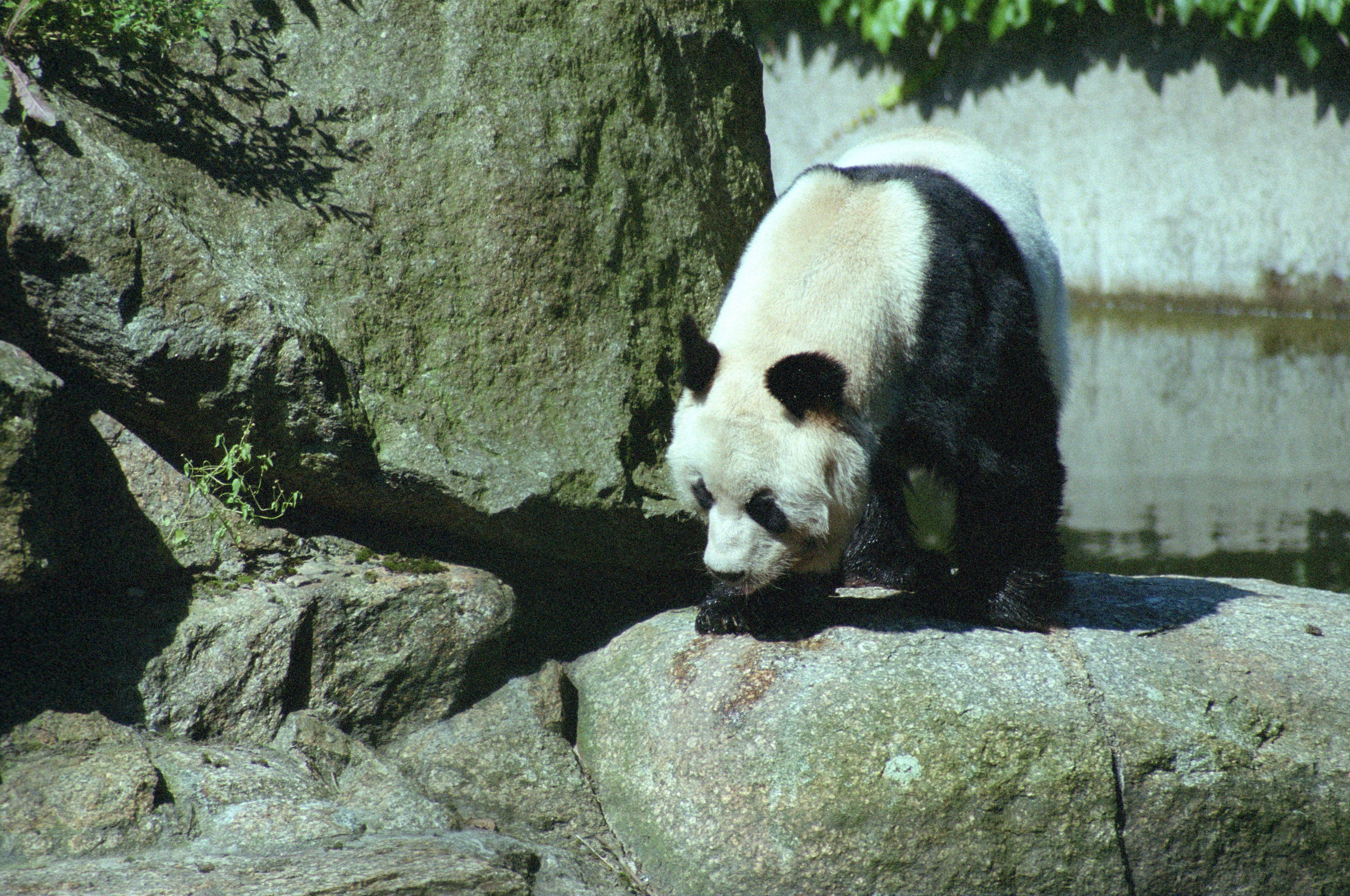 Zoo Berlin