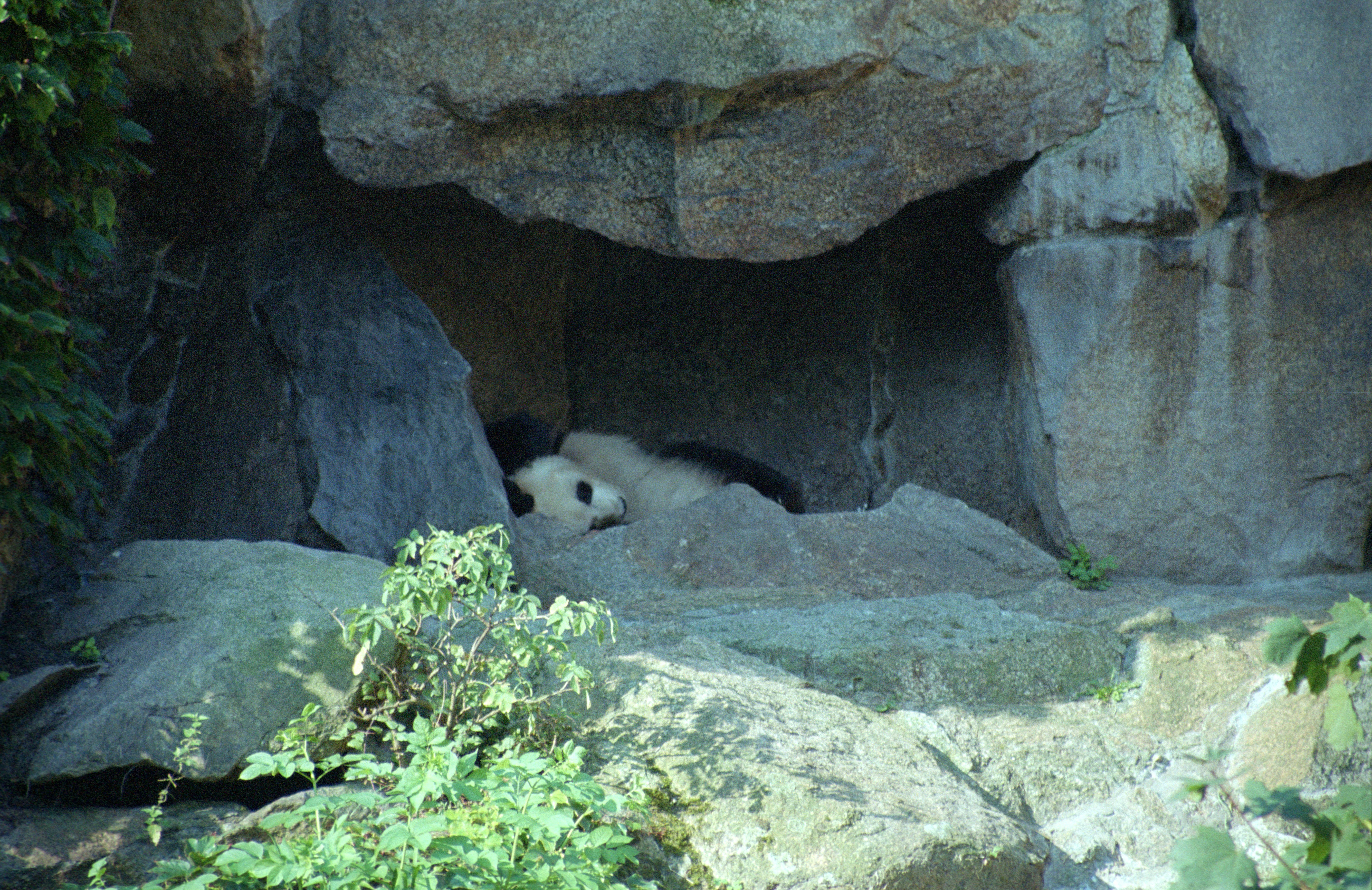 Zoo Berlin