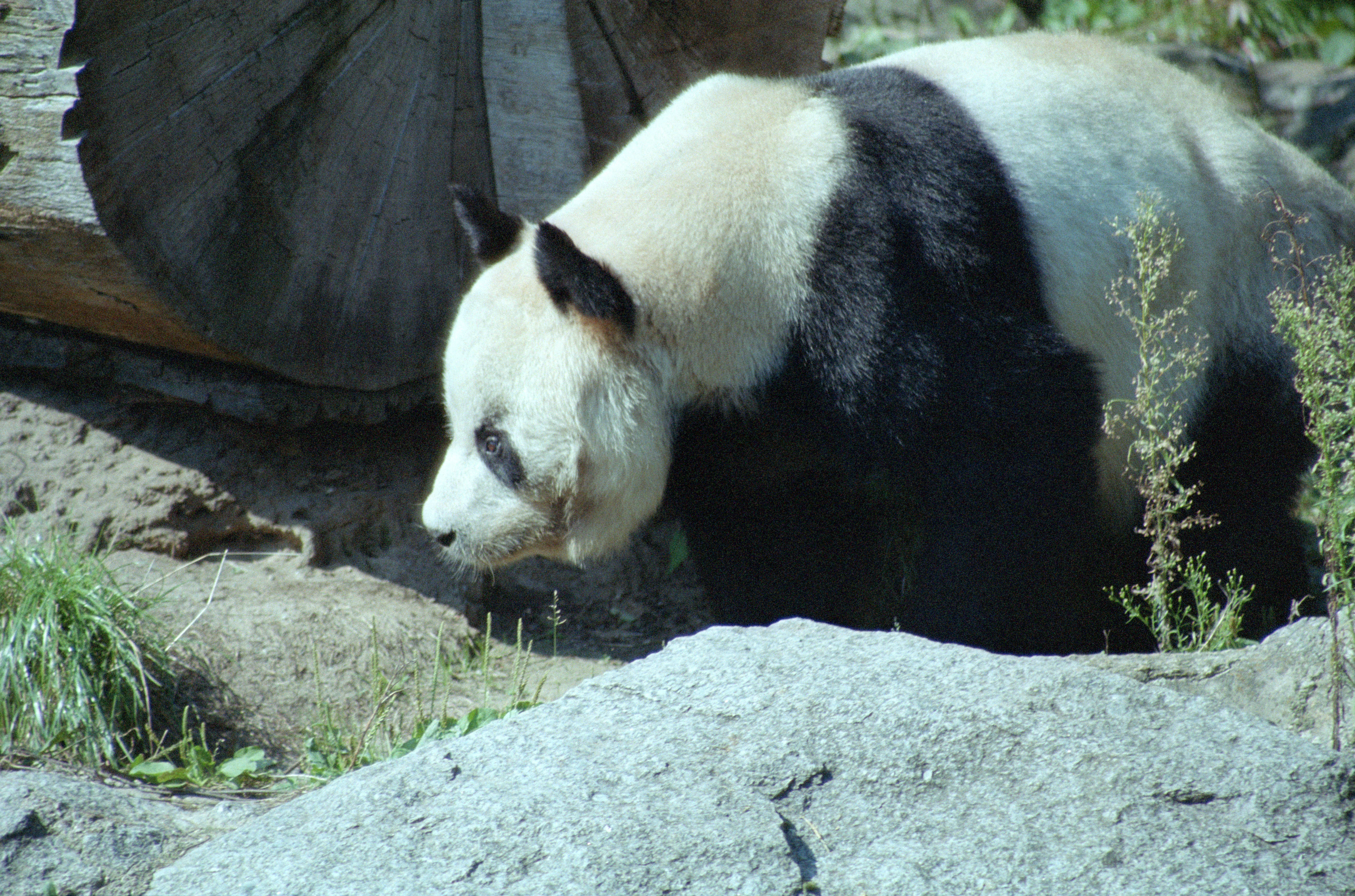 Zoo Berlin