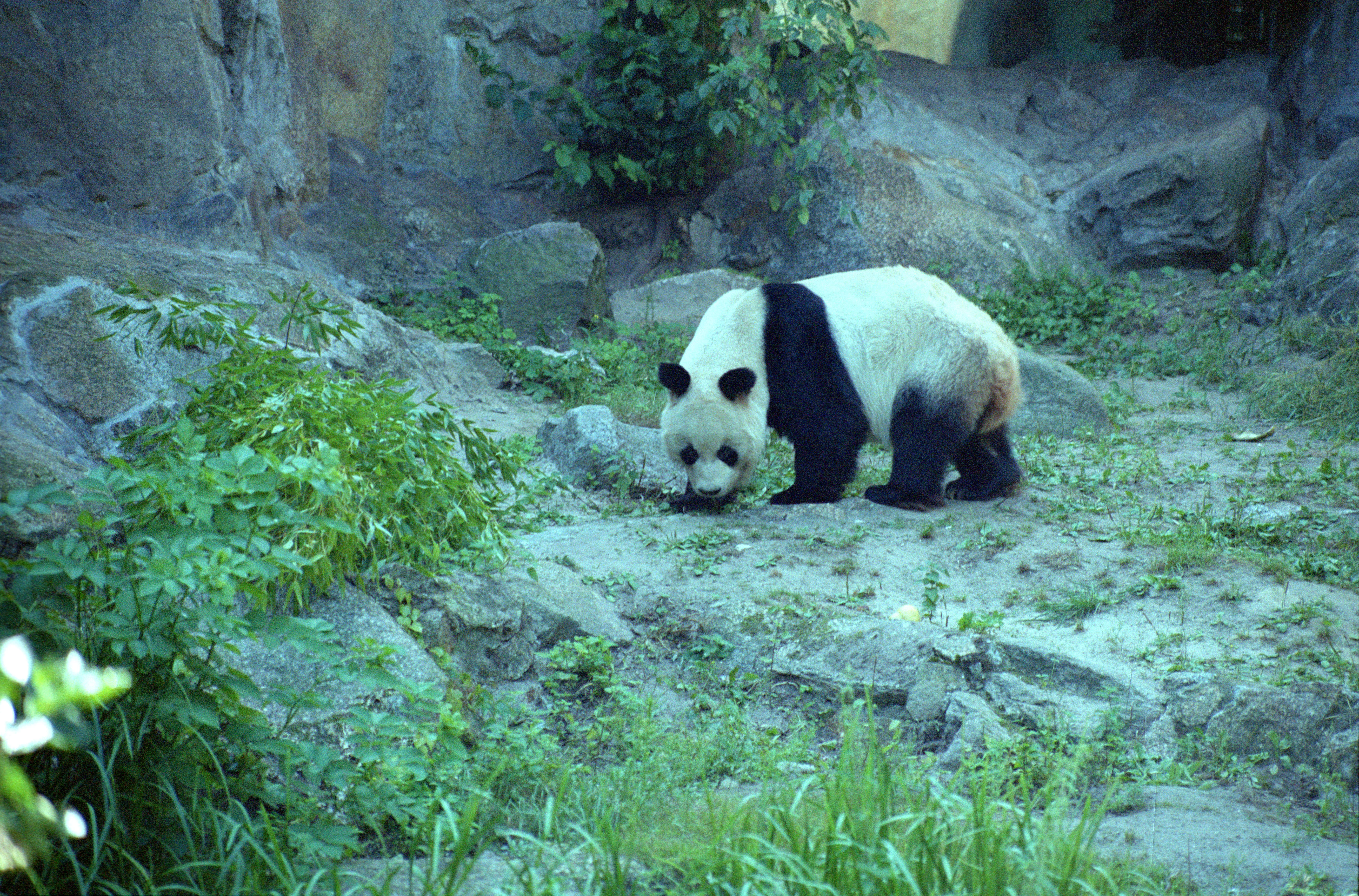 Zoo Berlin