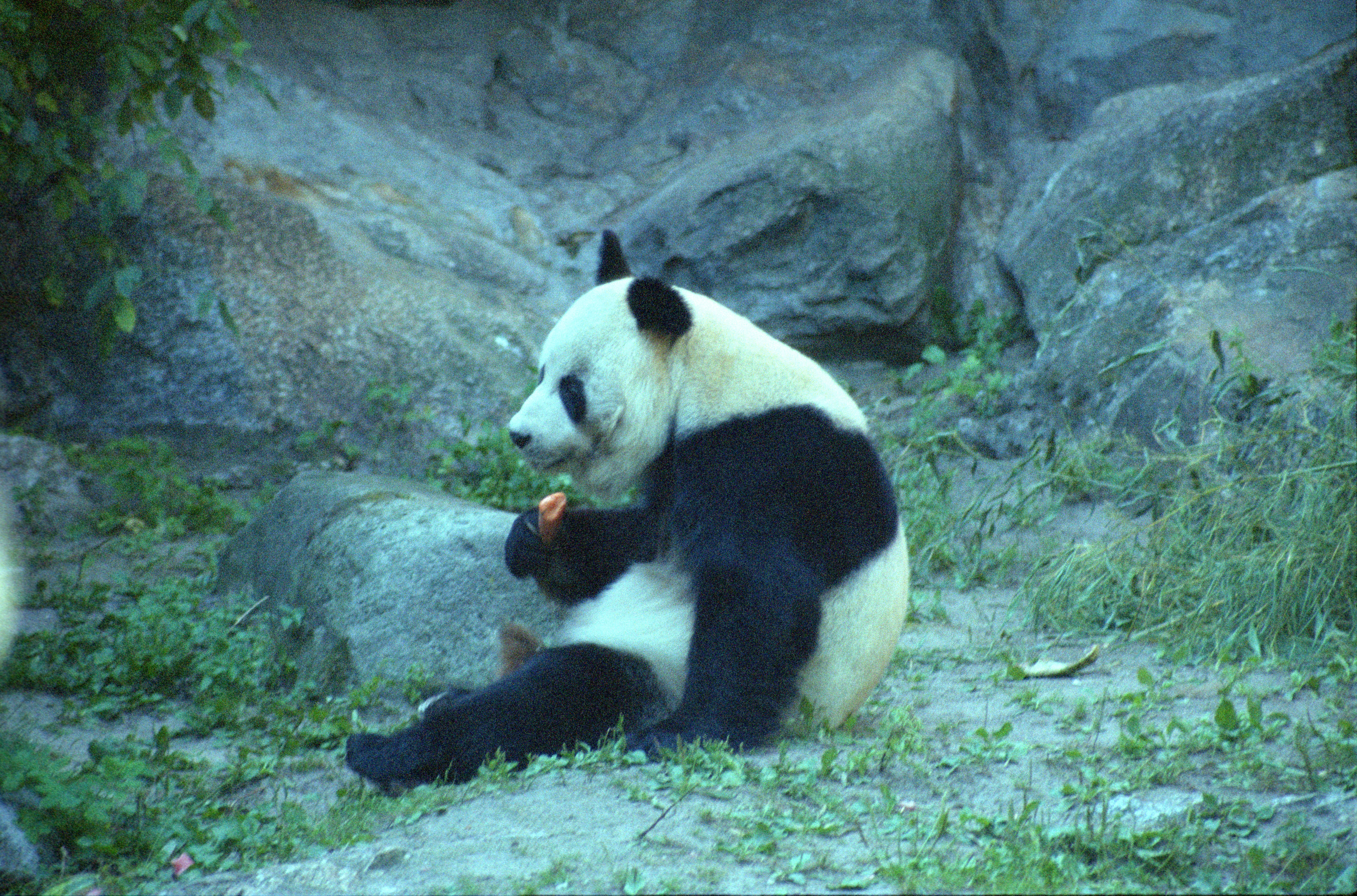 Zoo Berlin