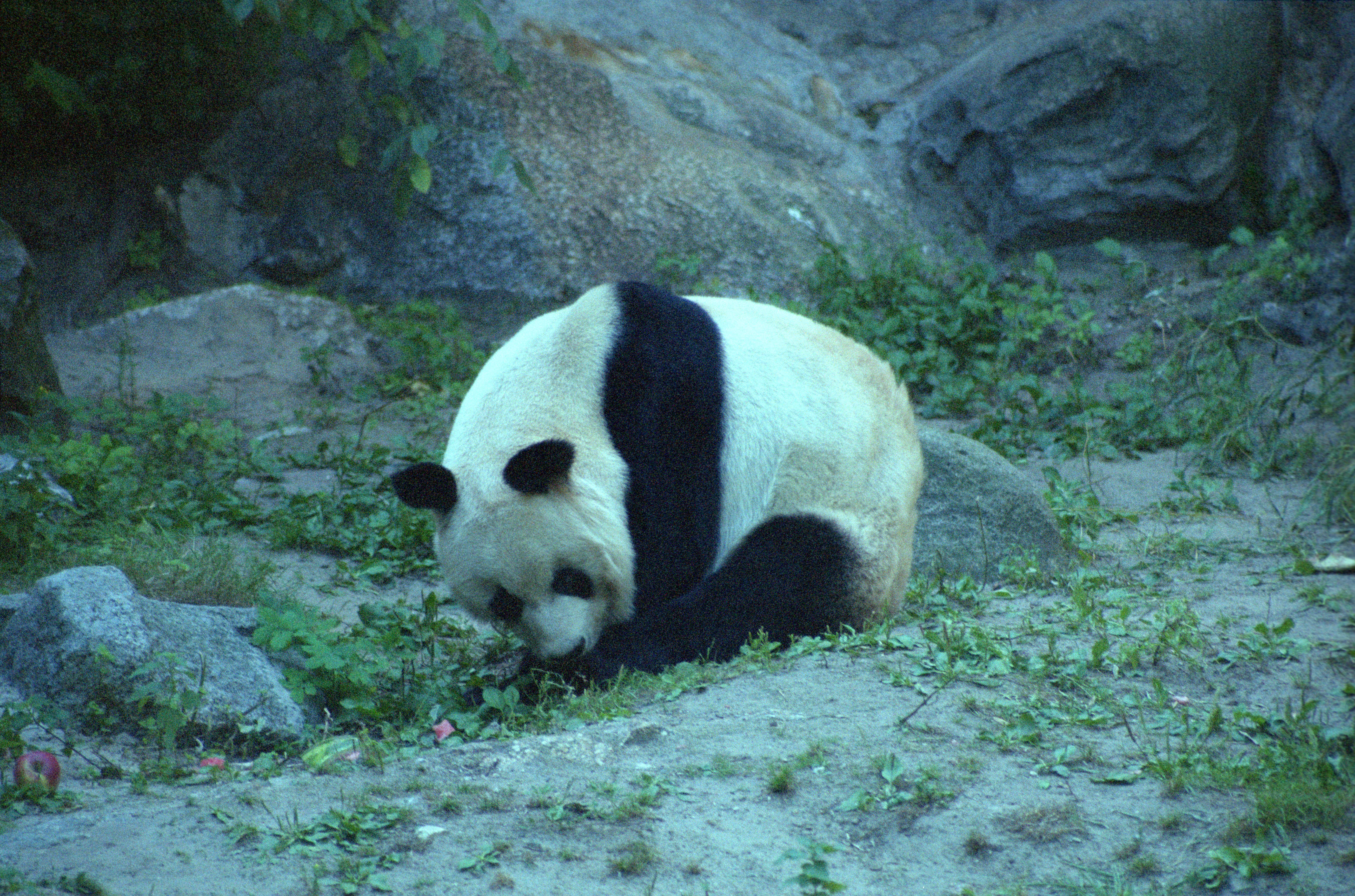 Zoo Berlin
