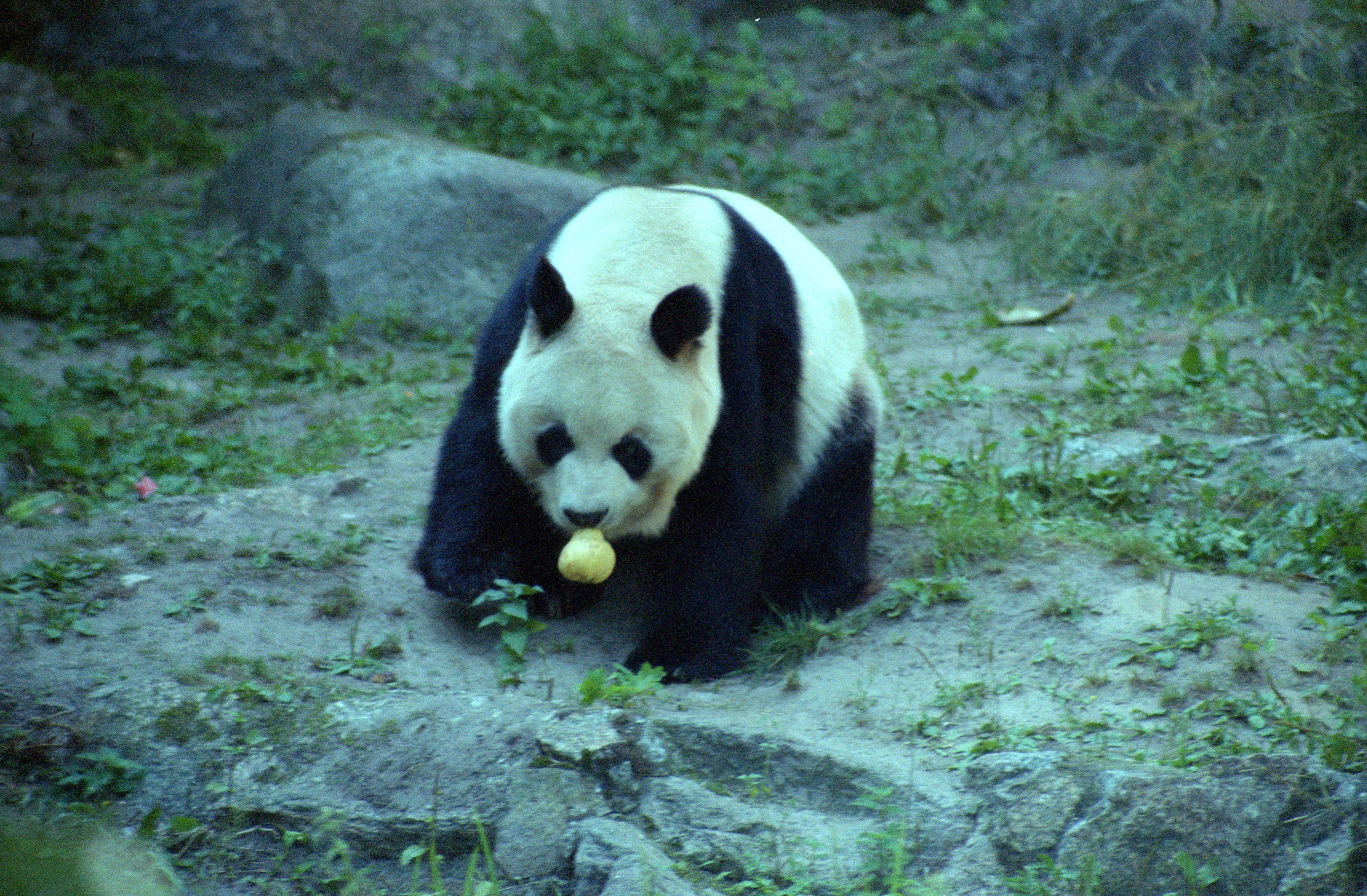 Zoo Berlin
