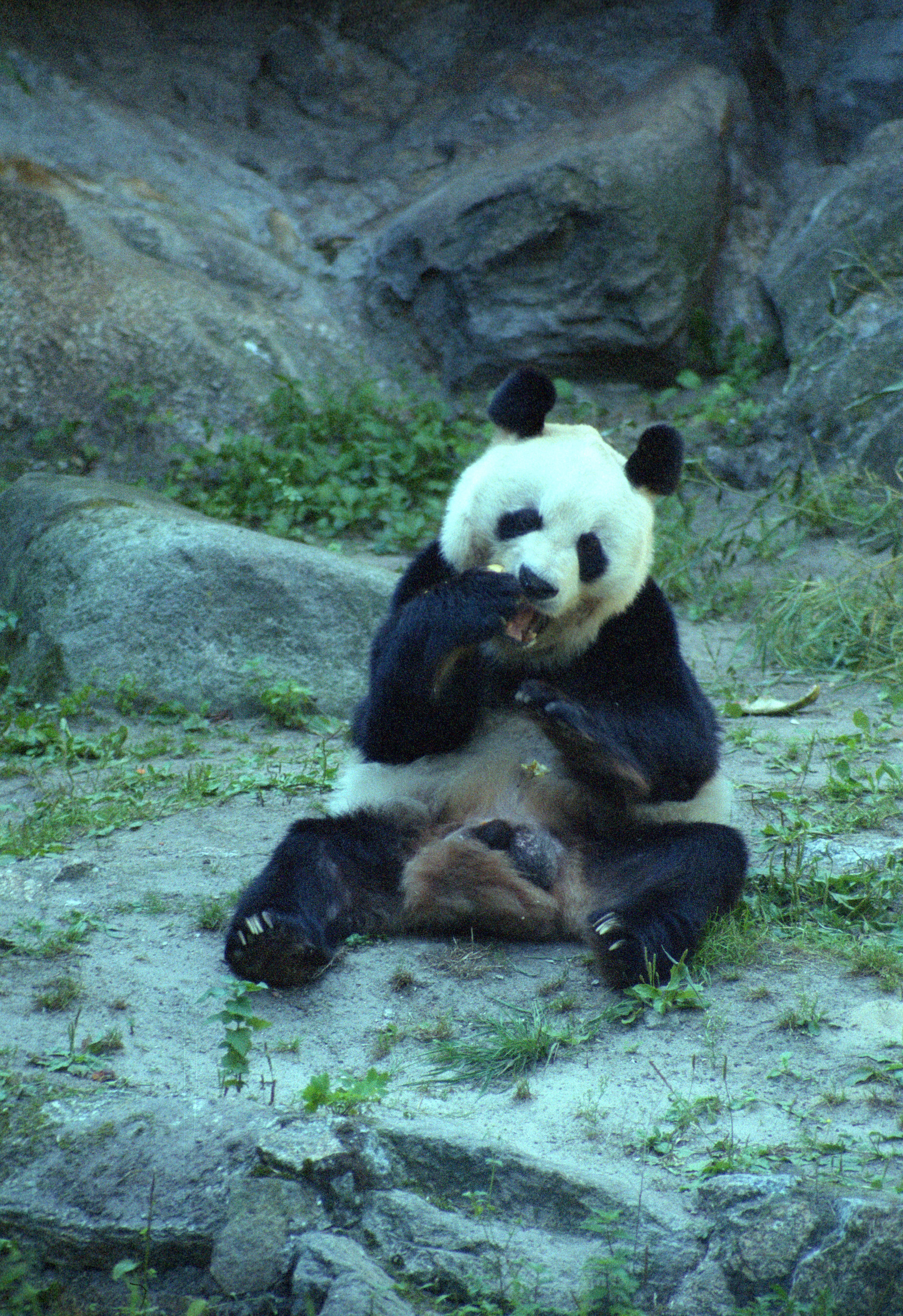 Zoo Berlin