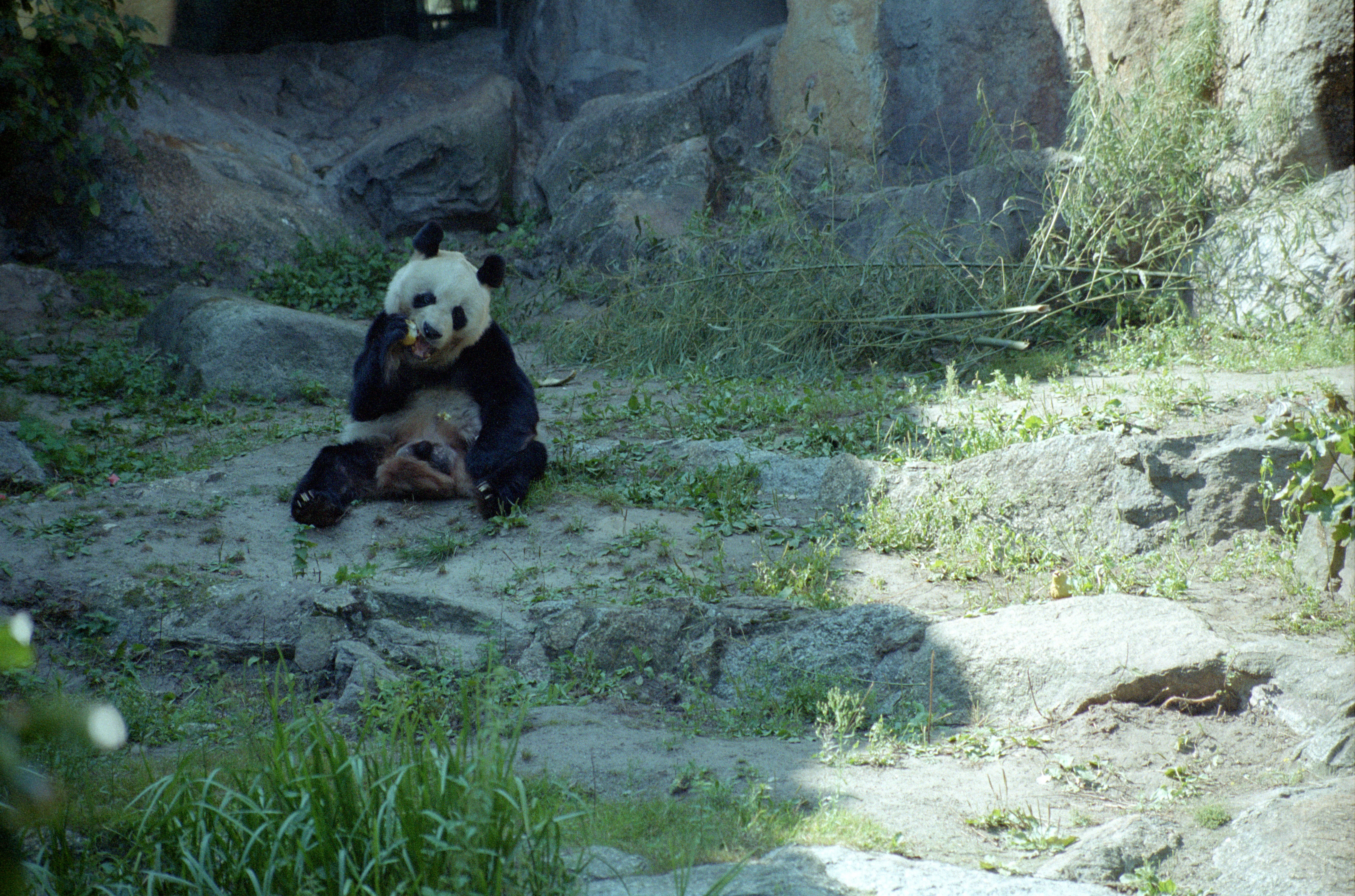 Zoo Berlin