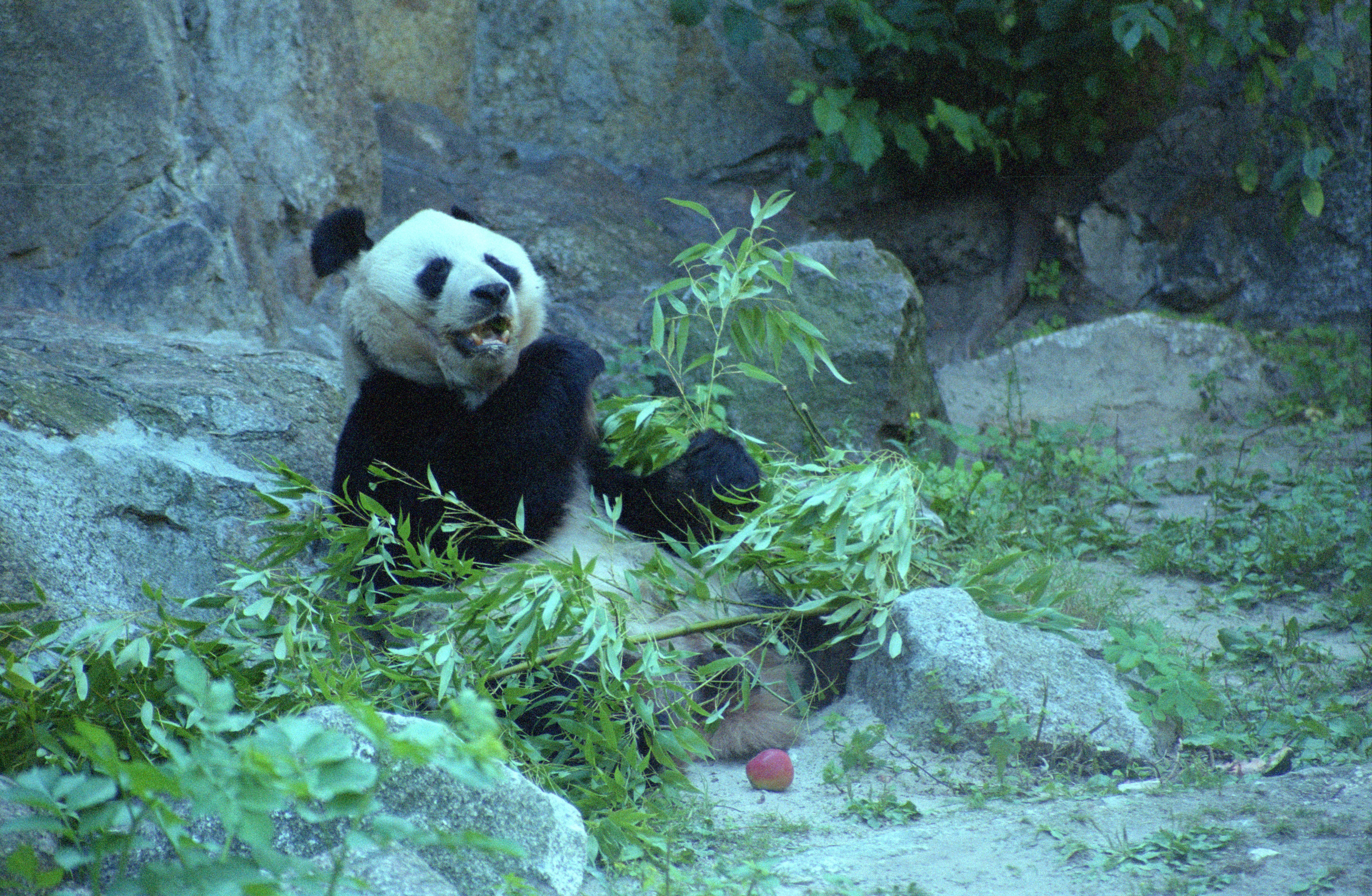 Zoo Berlin
