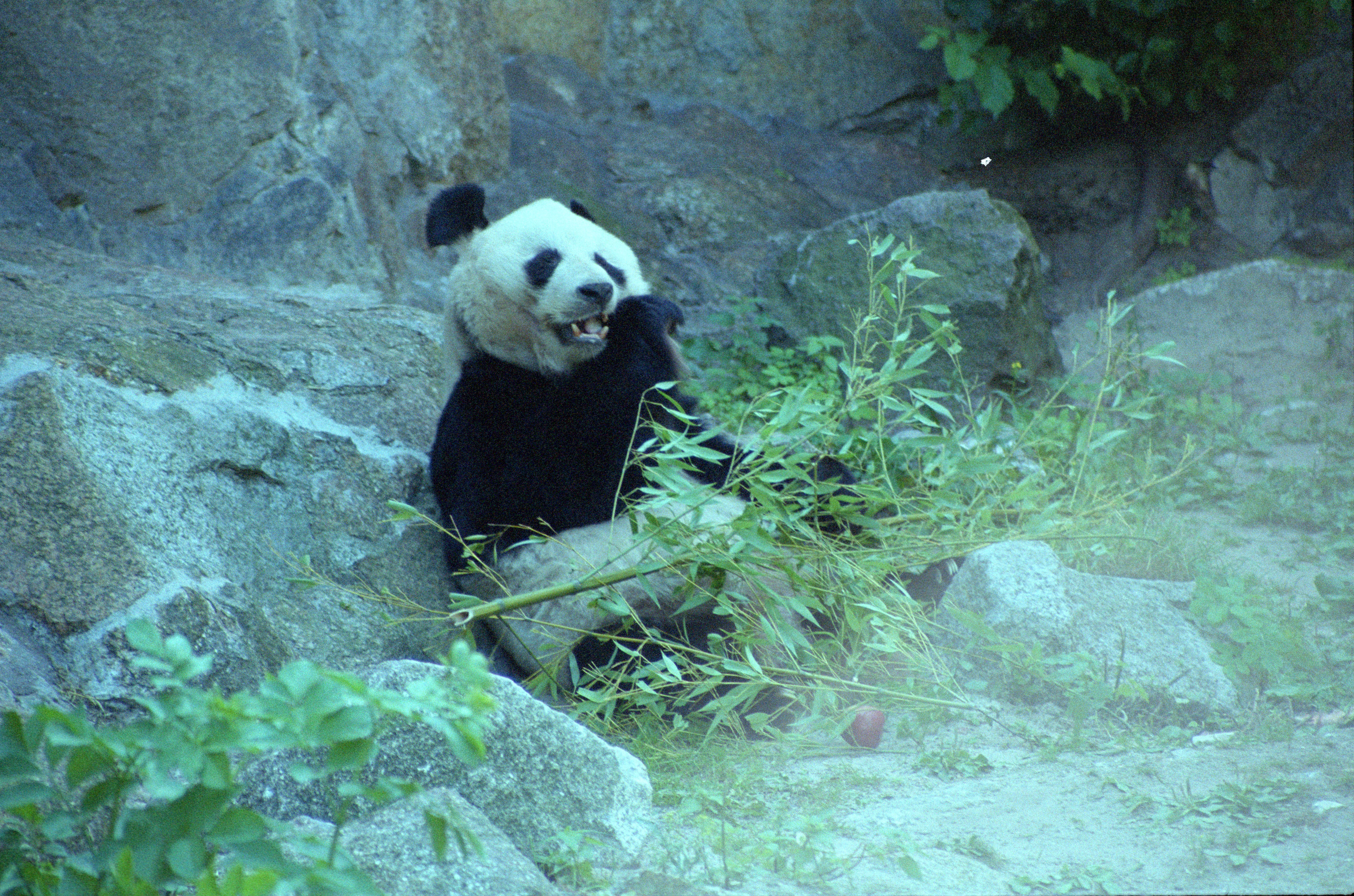 Zoo Berlin