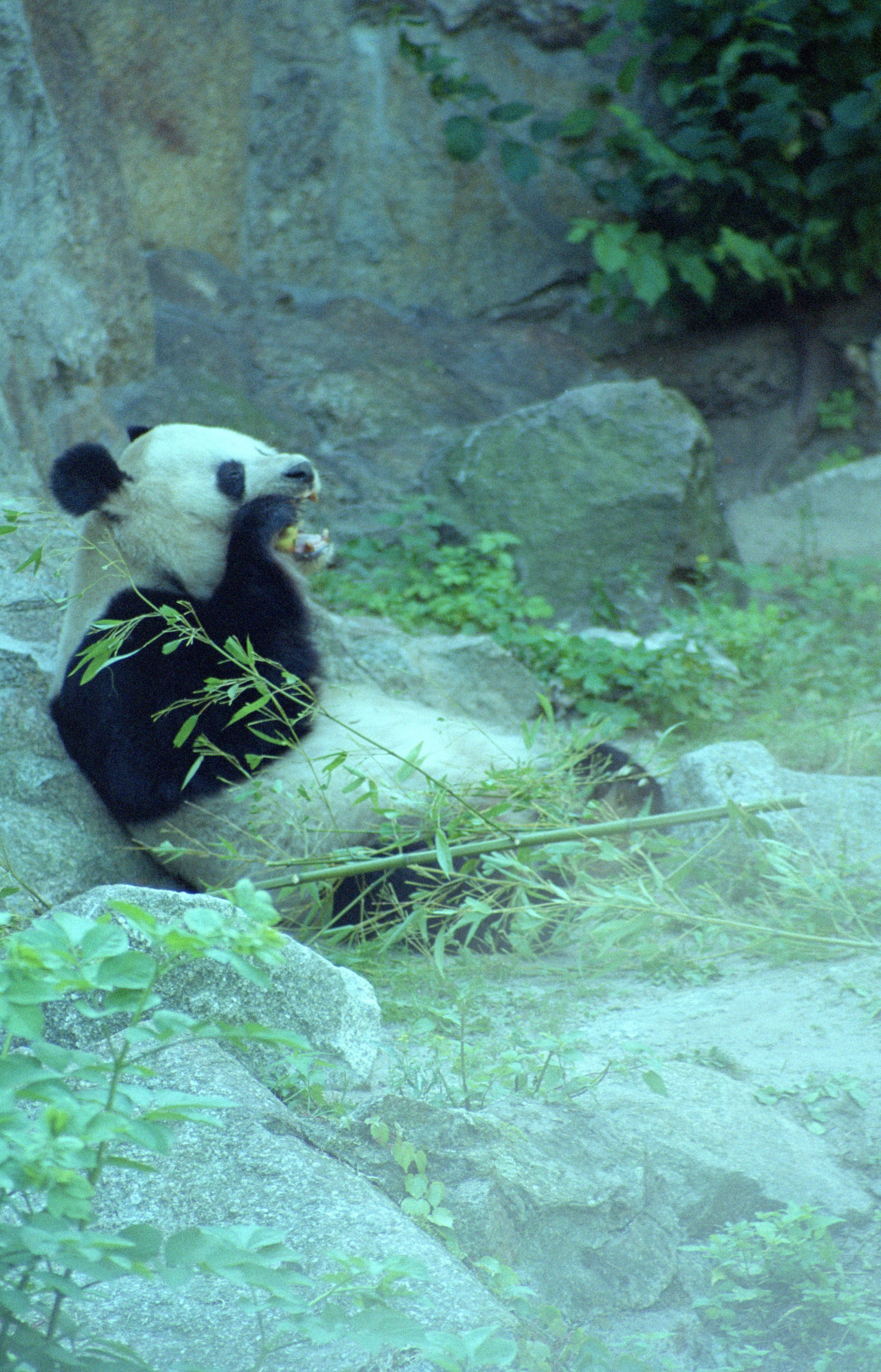 Zoo Berlin