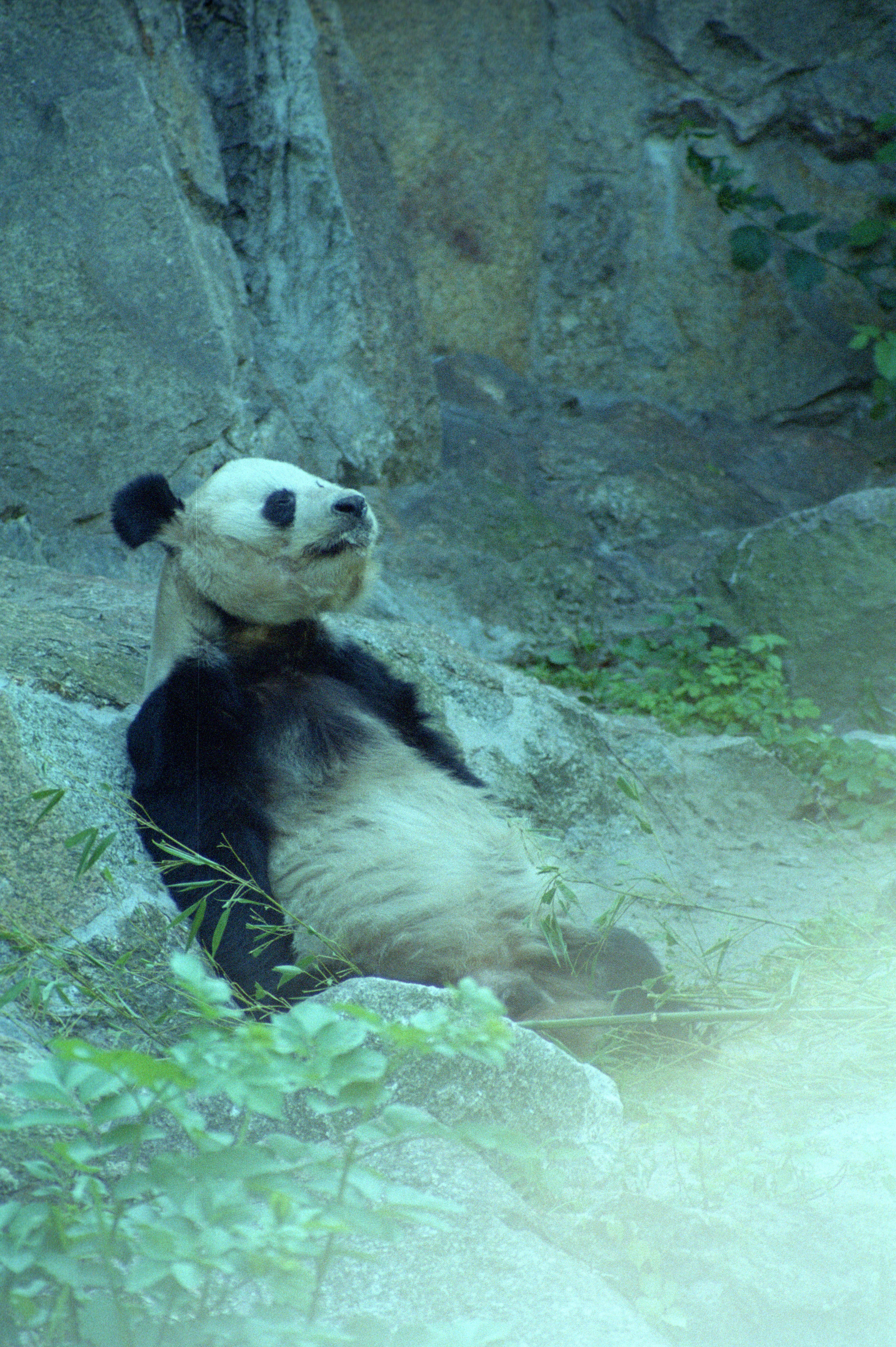 Zoo Berlin