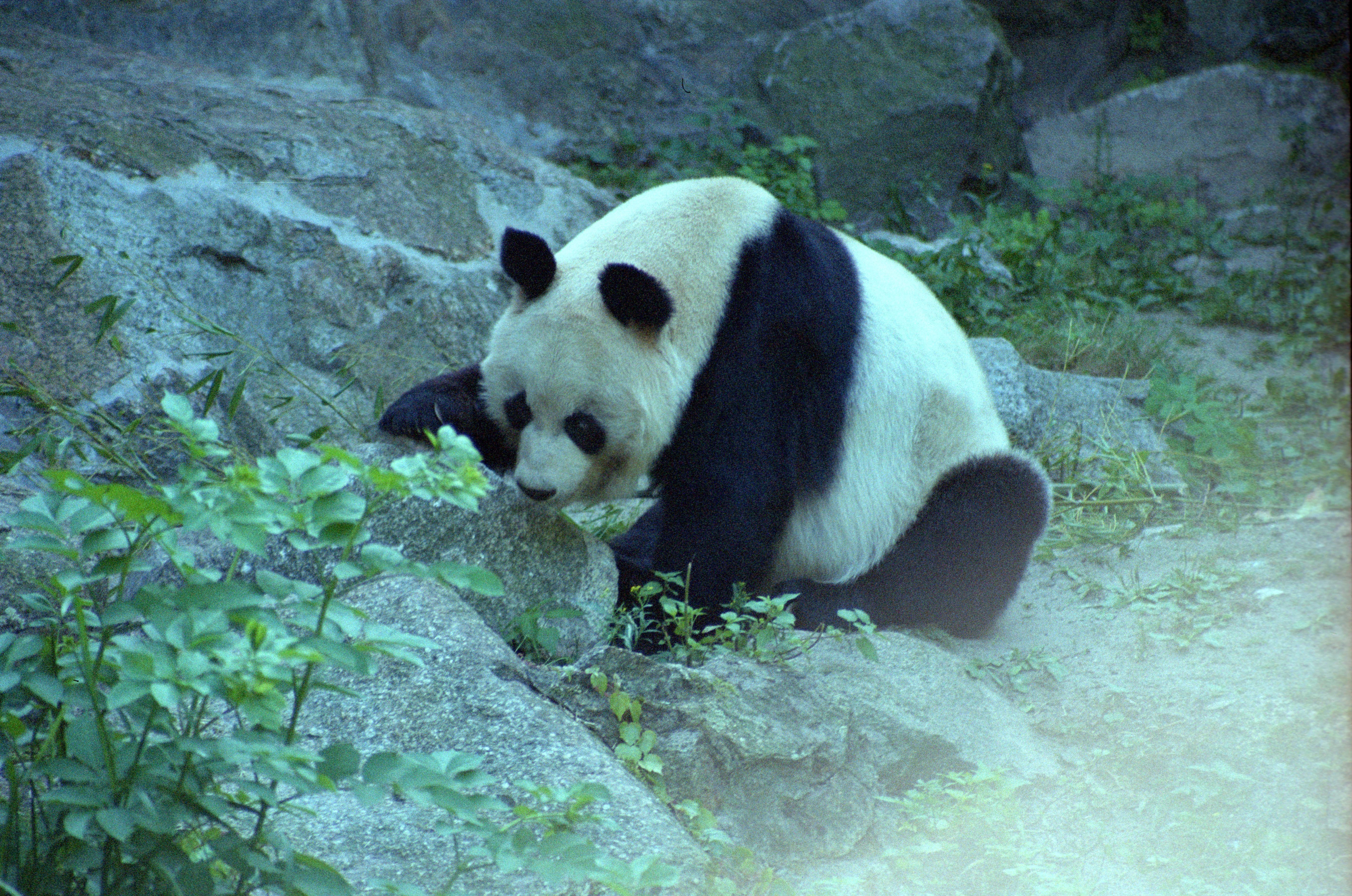 Zoo Berlin
