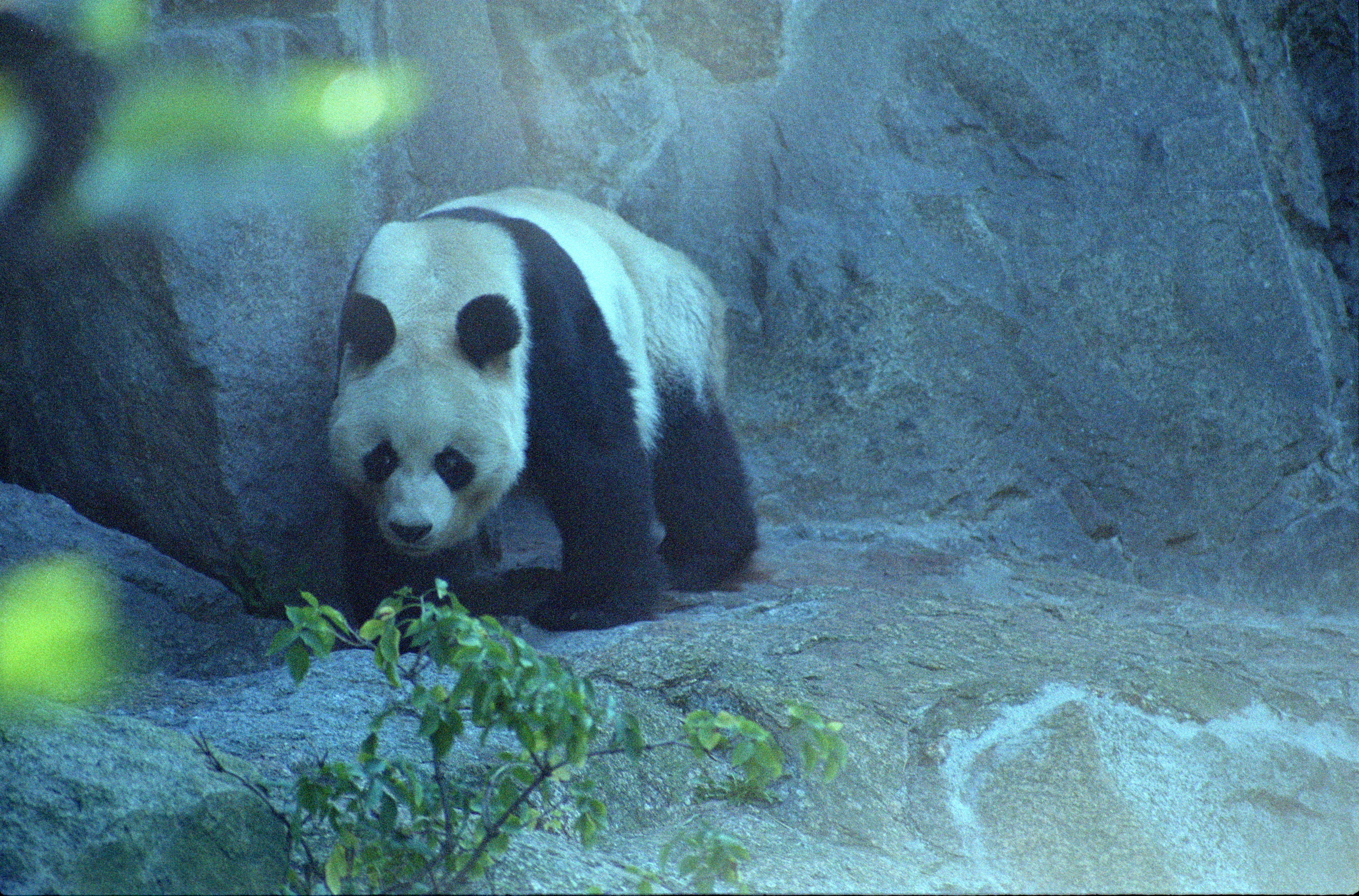 Zoo Berlin