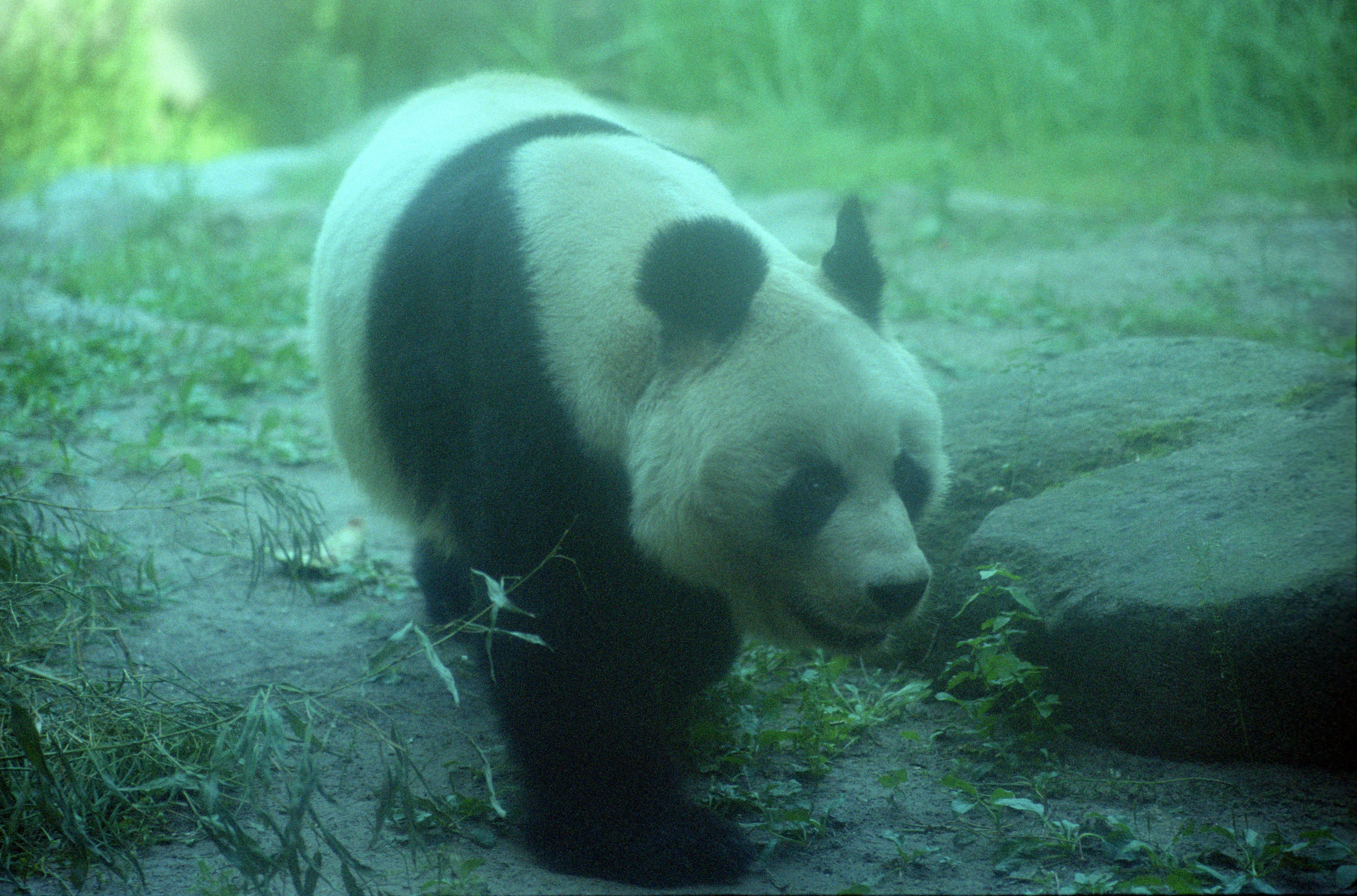 Zoo Berlin