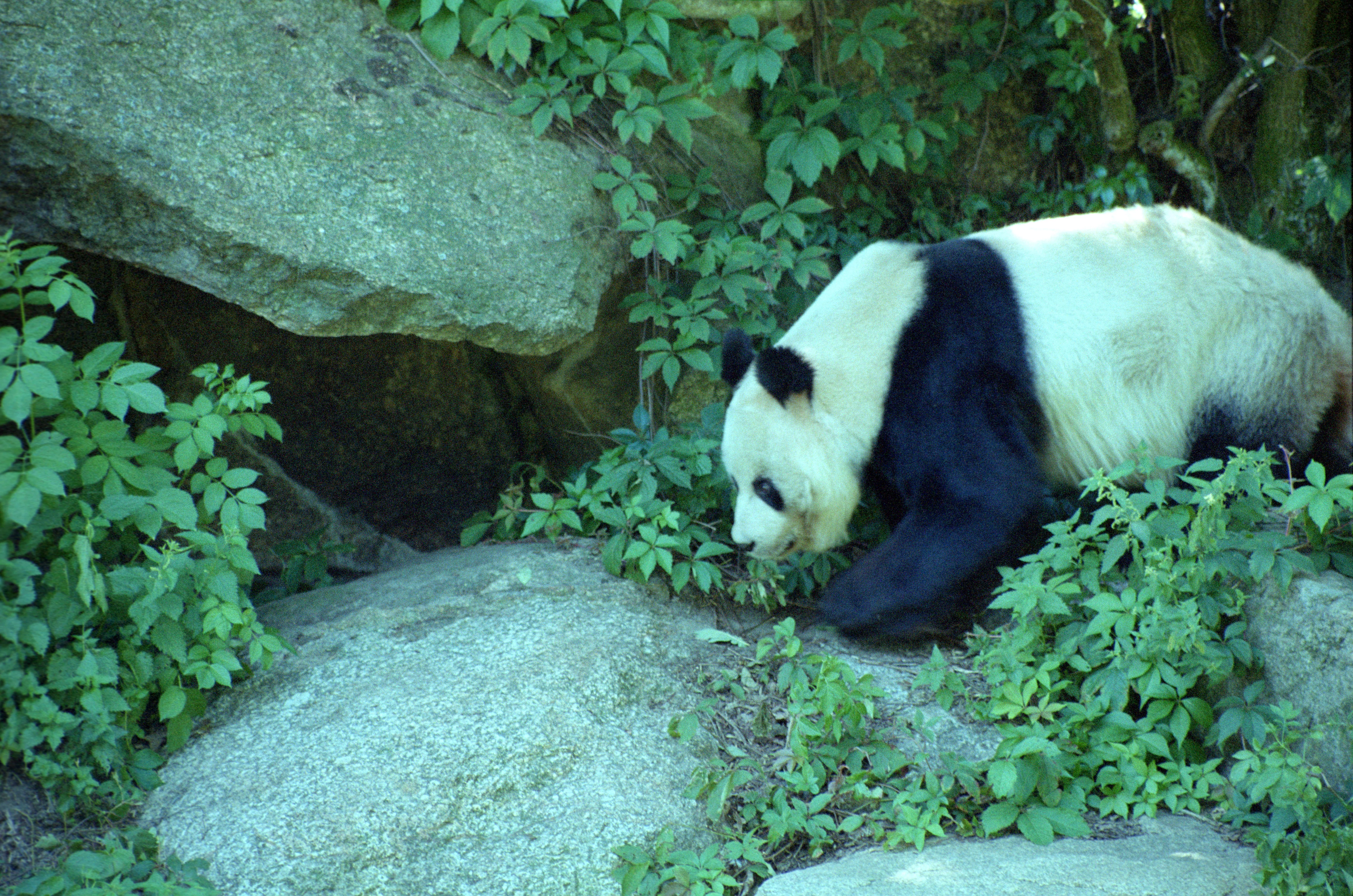 Zoo Berlin