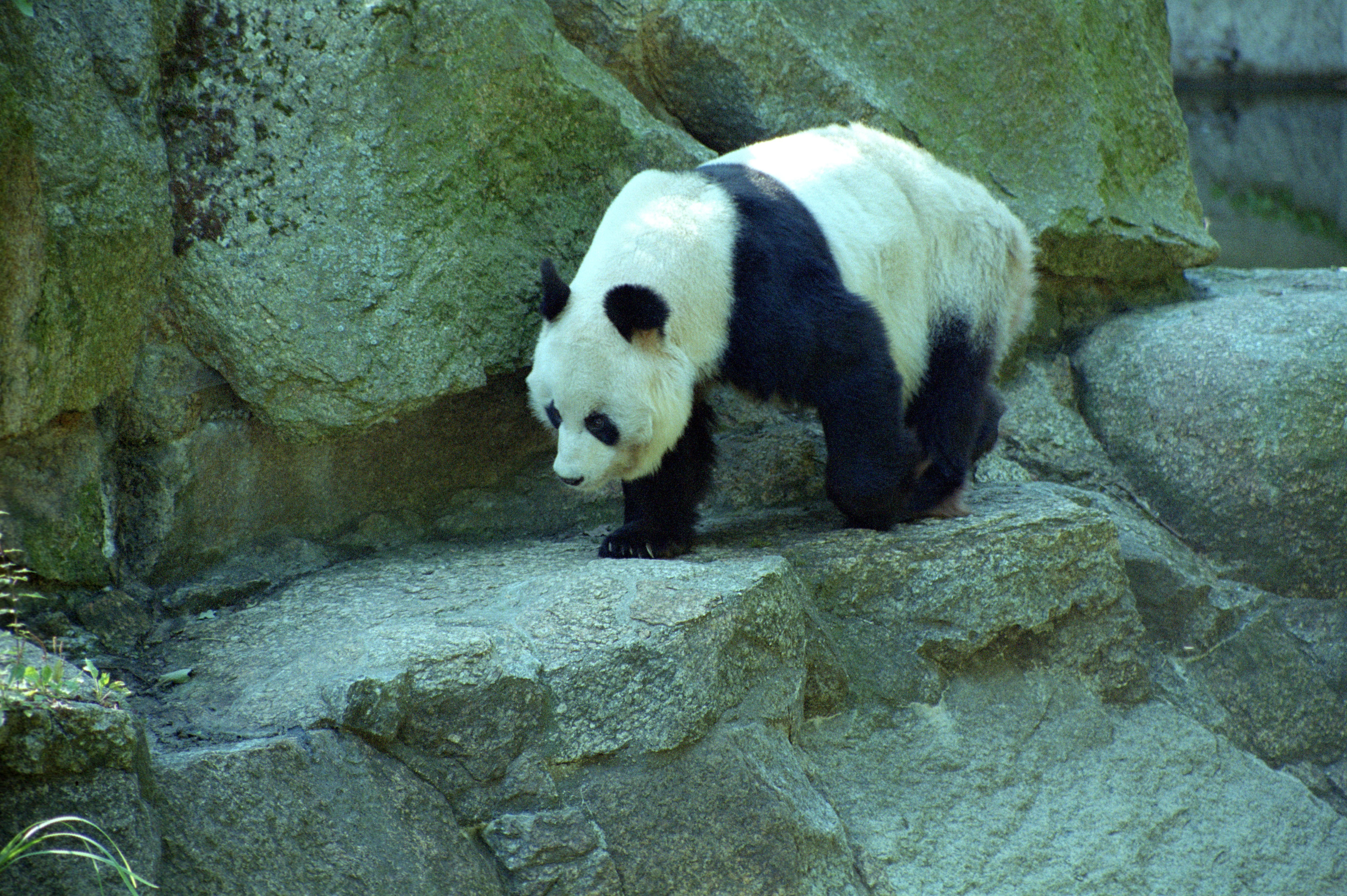 Zoo Berlin