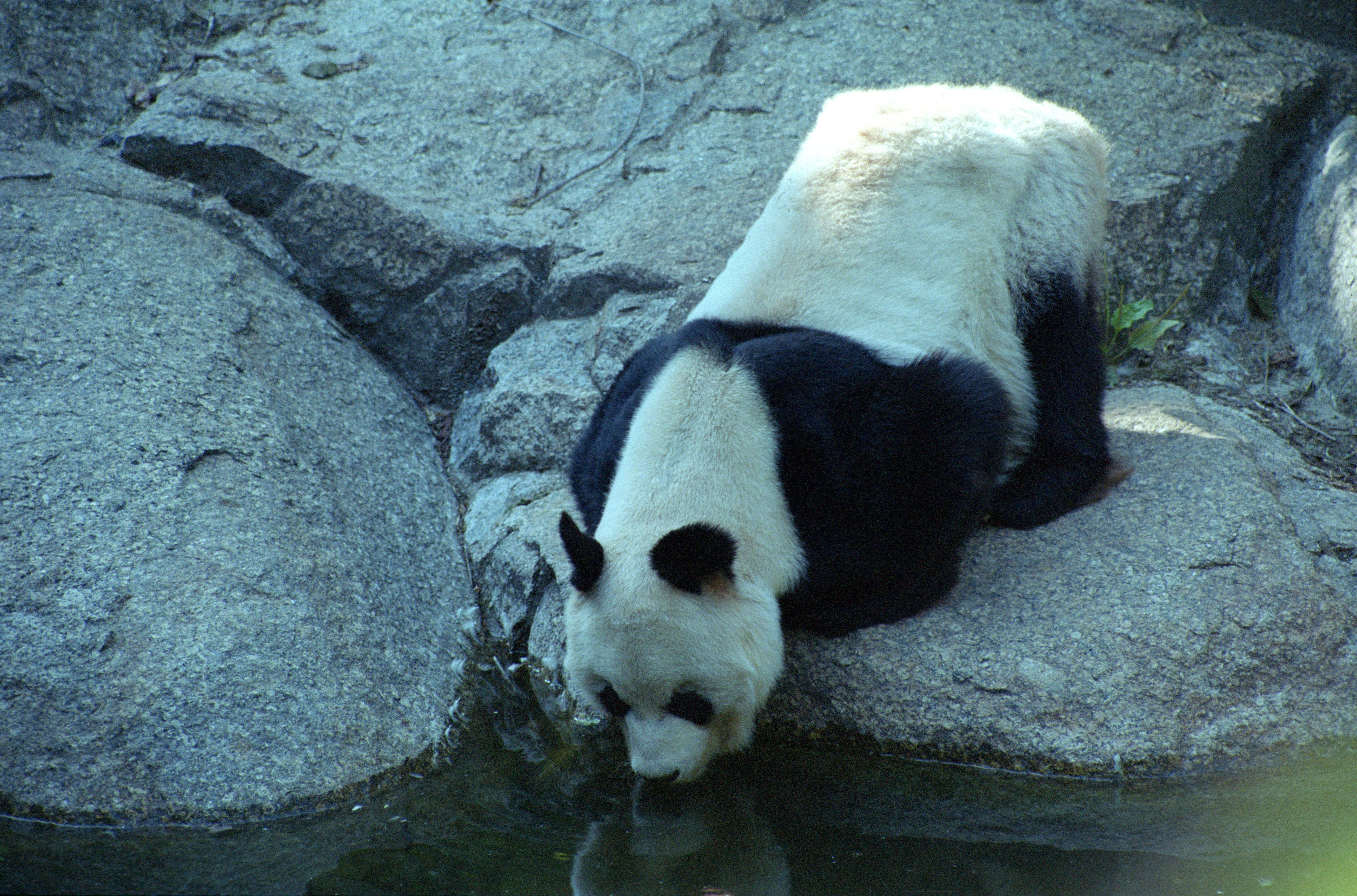 Zoo Berlin