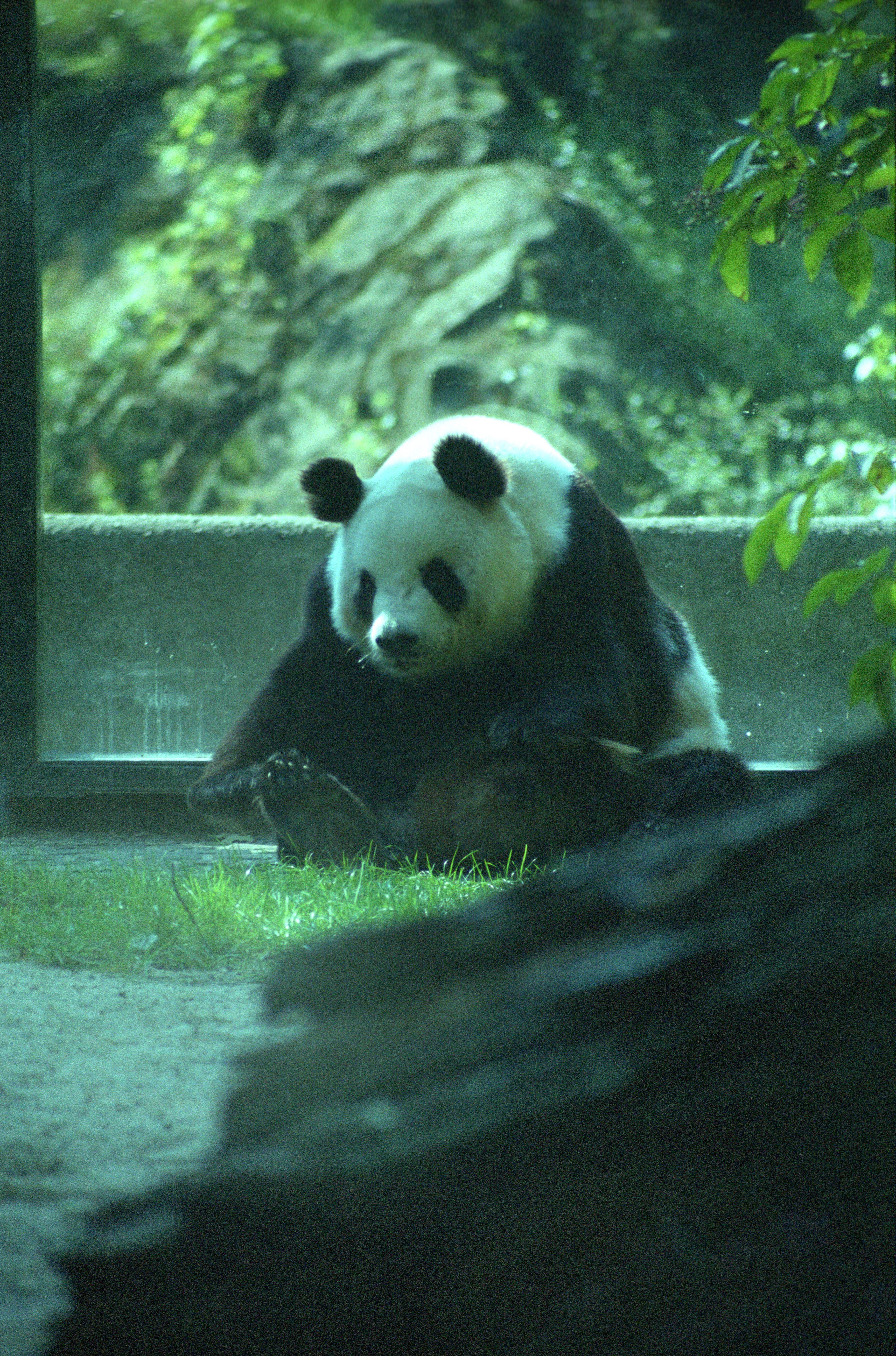 Zoo Berlin