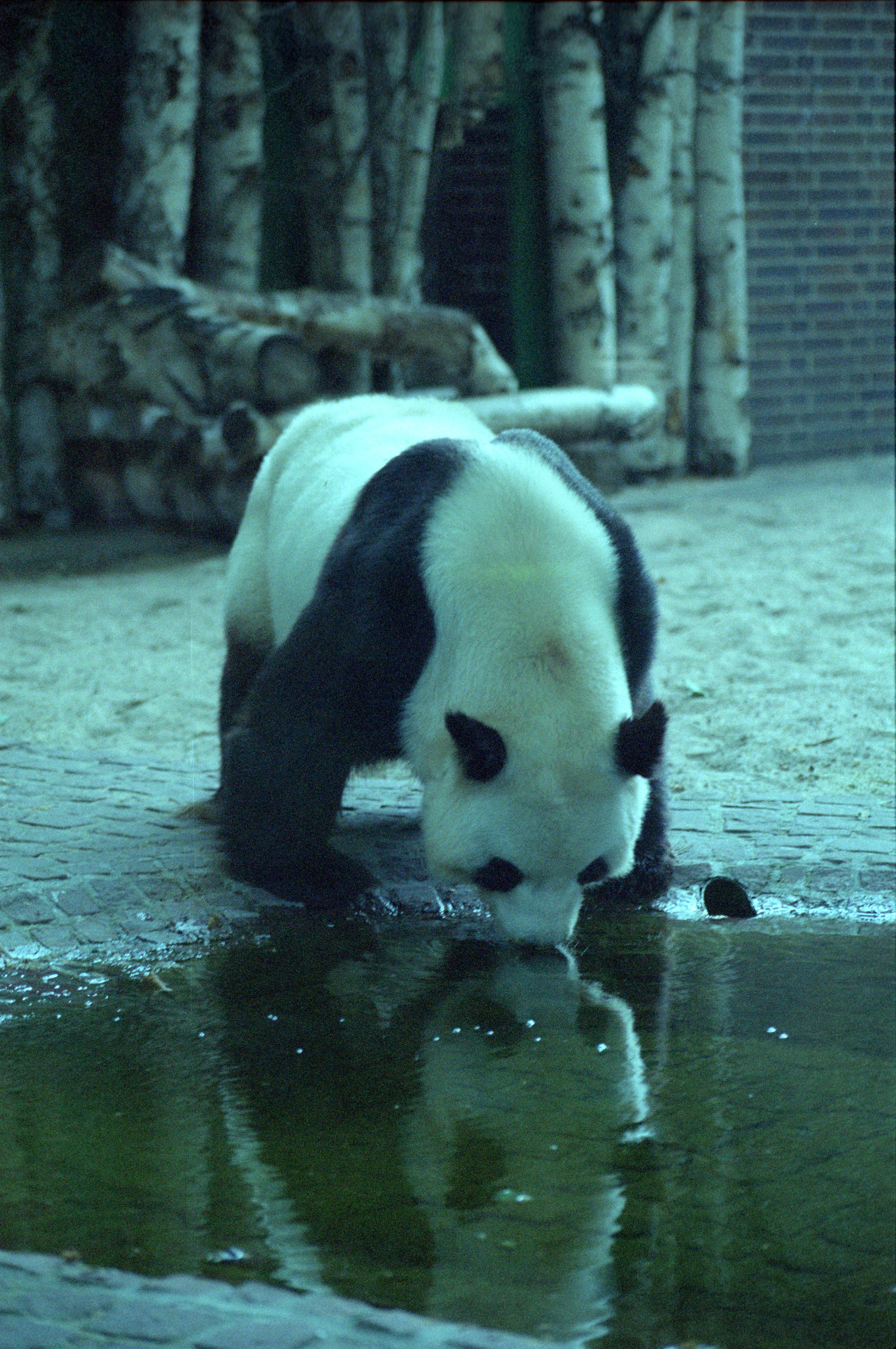 Zoo Berlin
