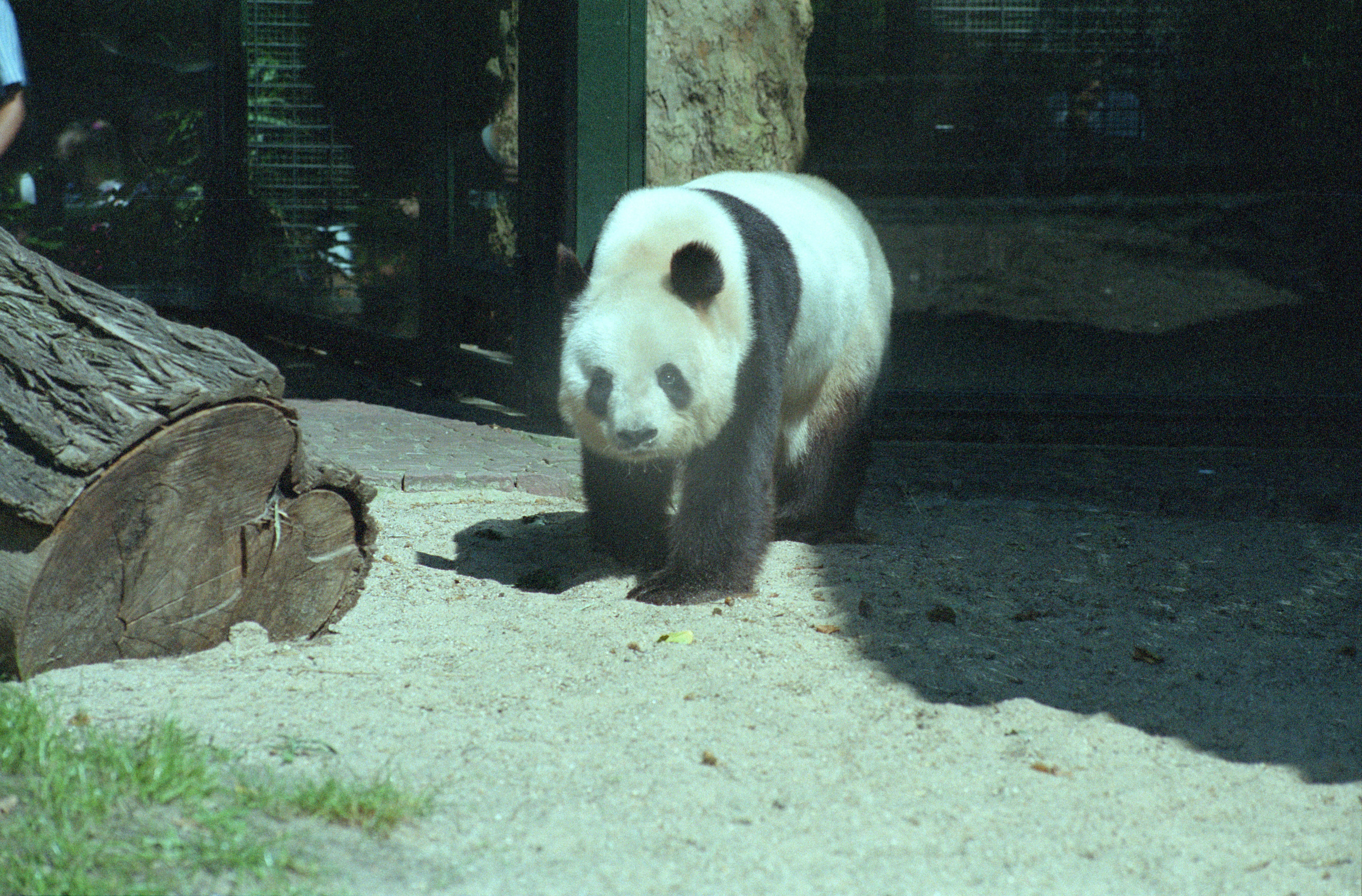 Zoo Berlin