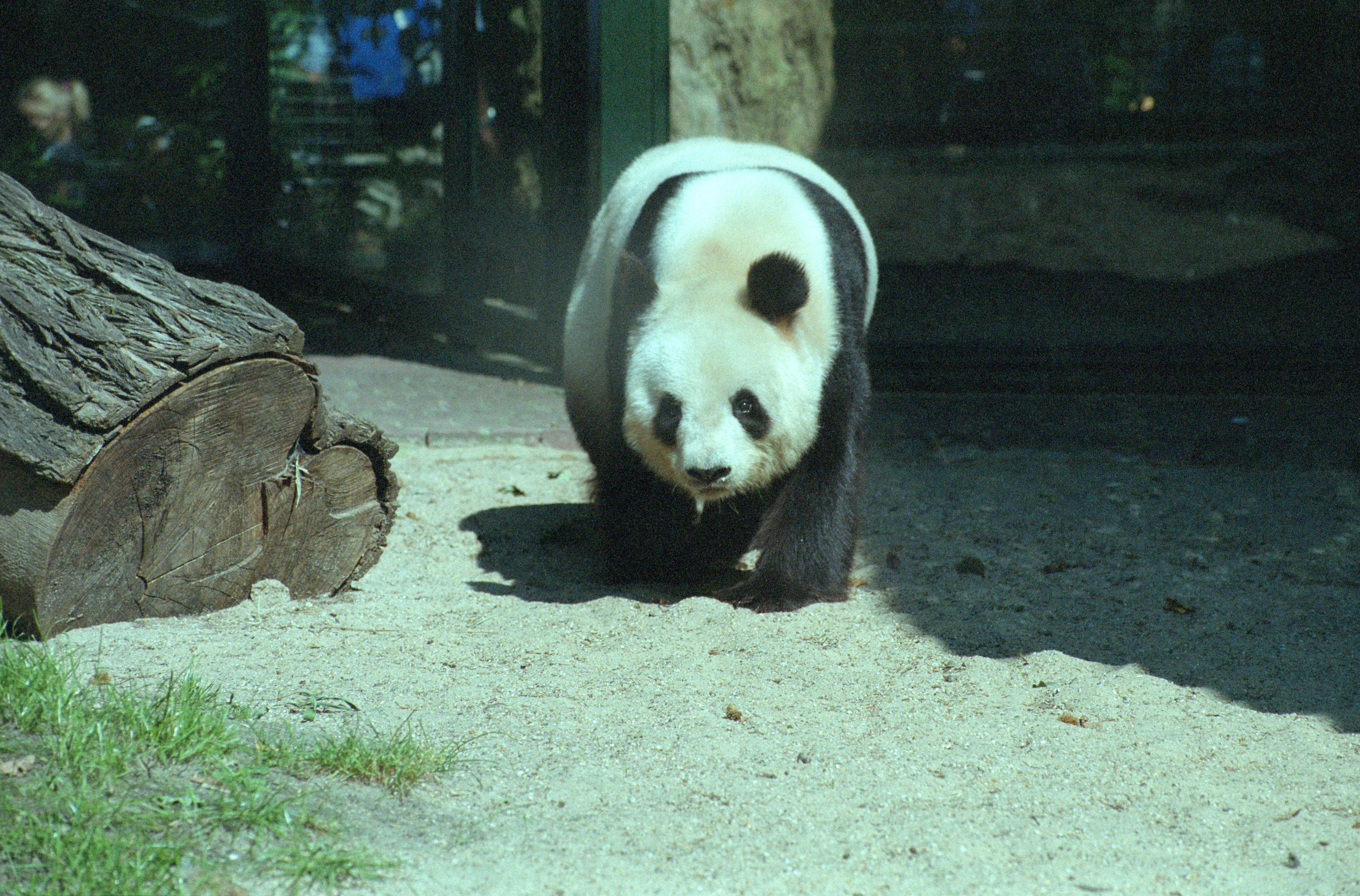 Zoo Berlin