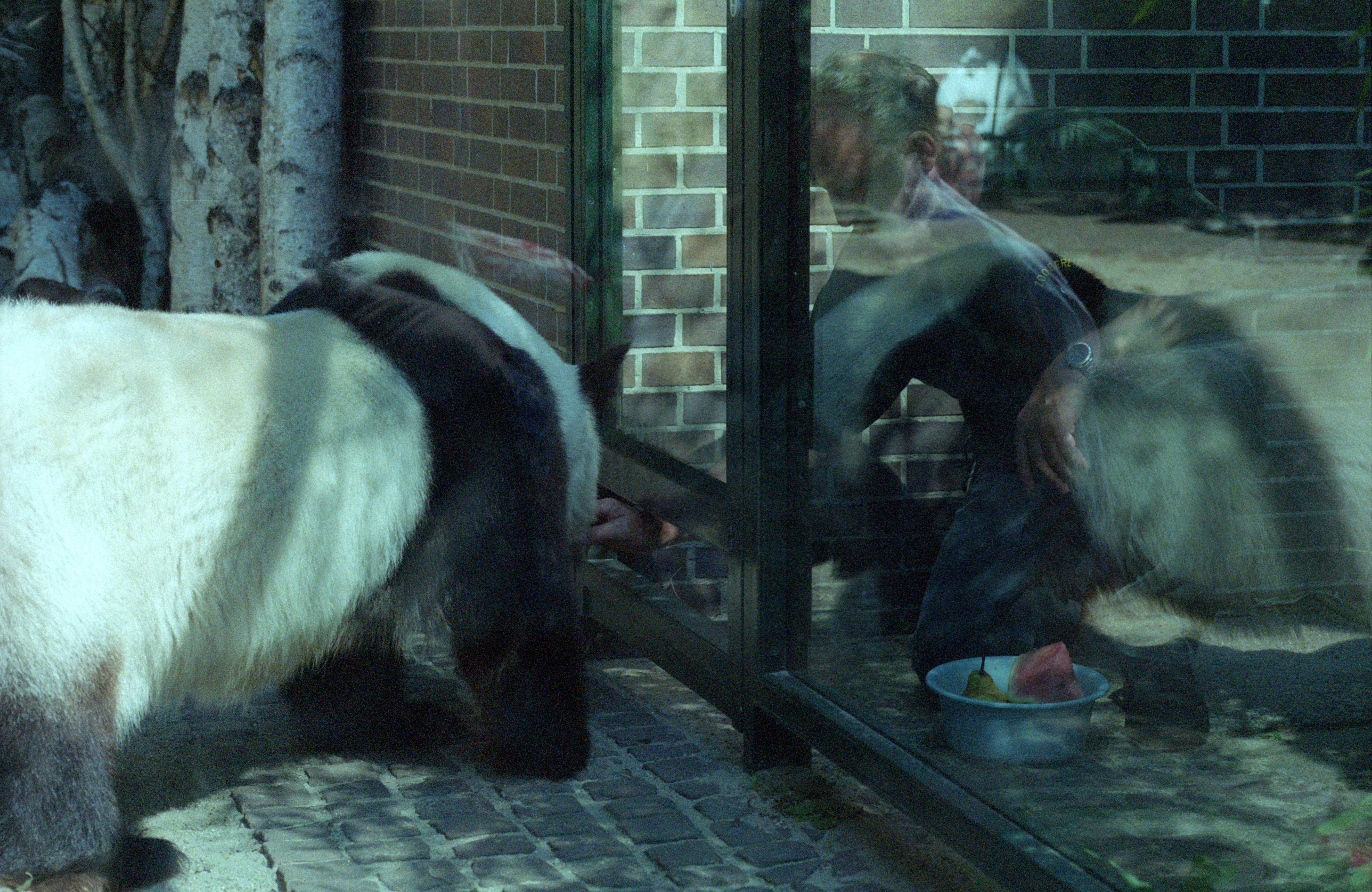 Zoo Berlin
