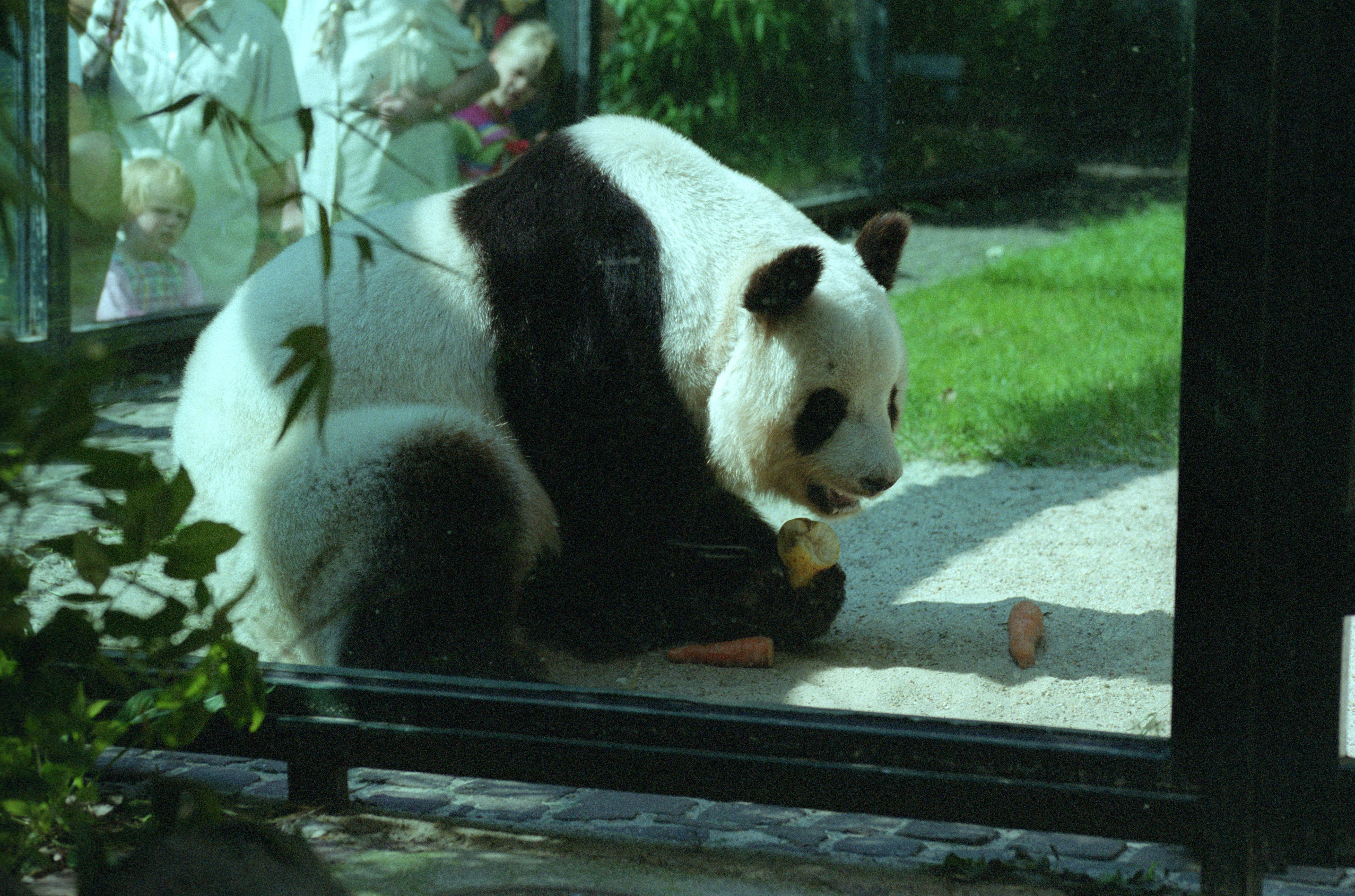 Zoo Berlin