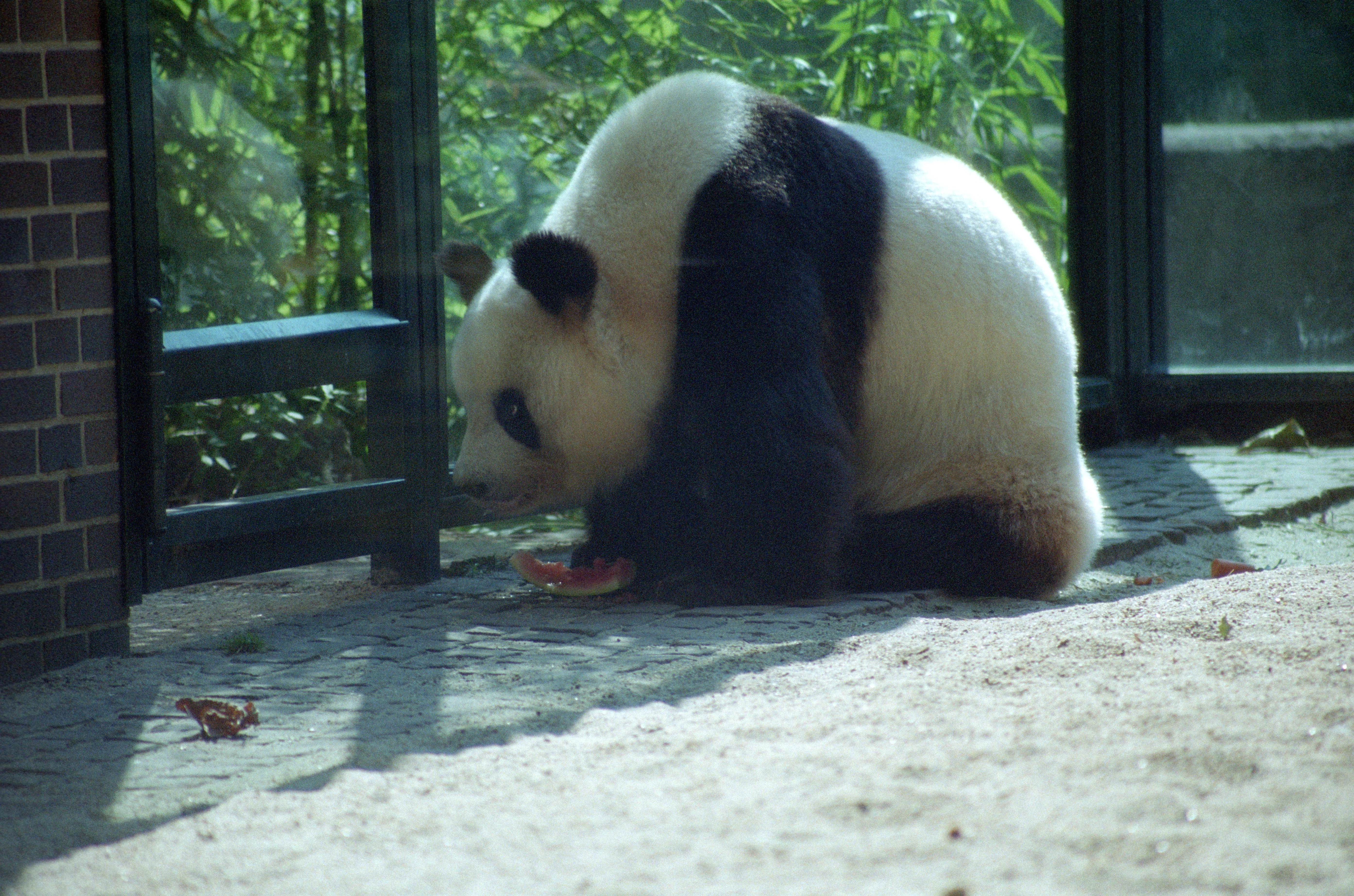 Zoo Berlin