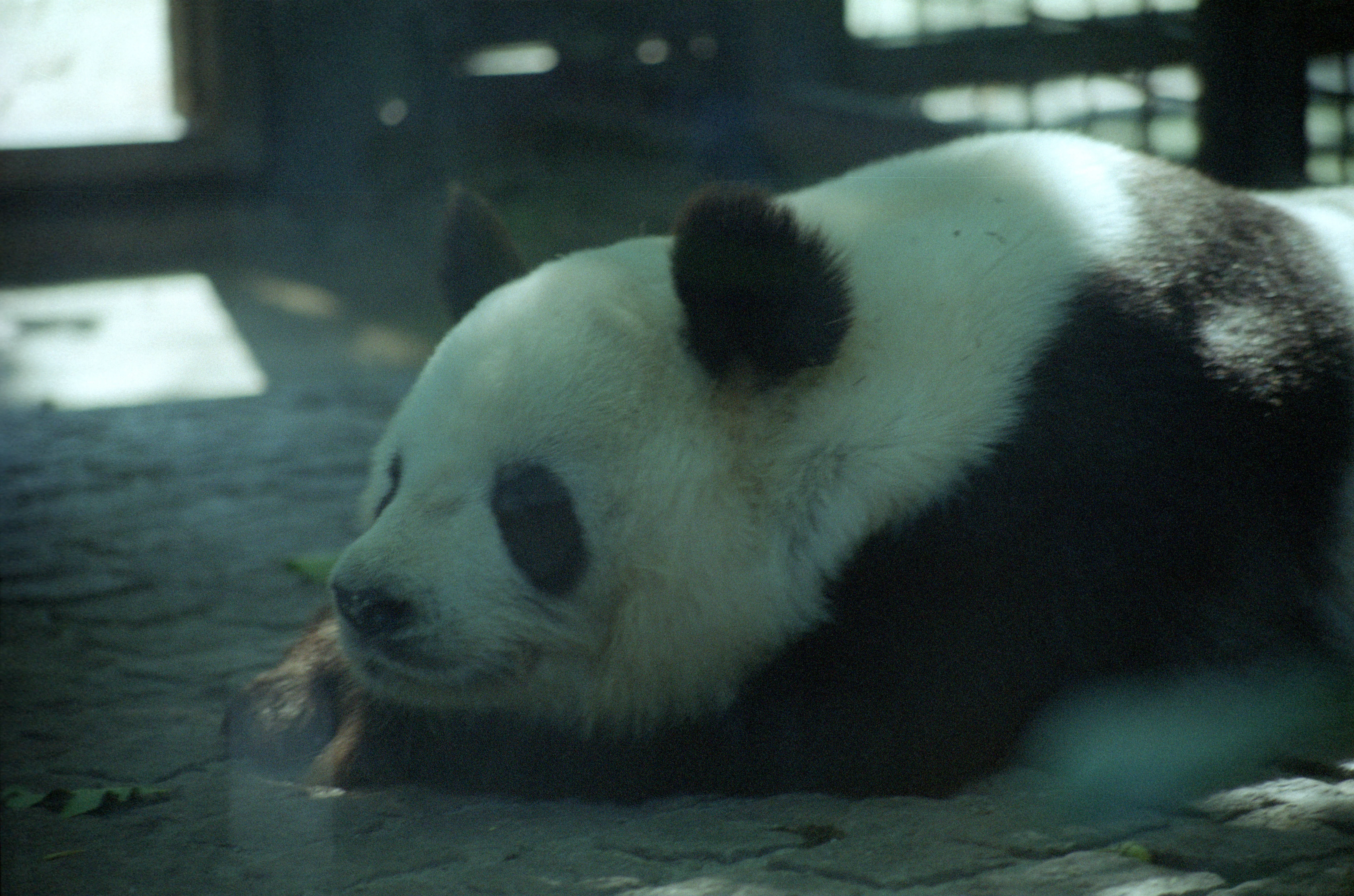 Zoo Berlin