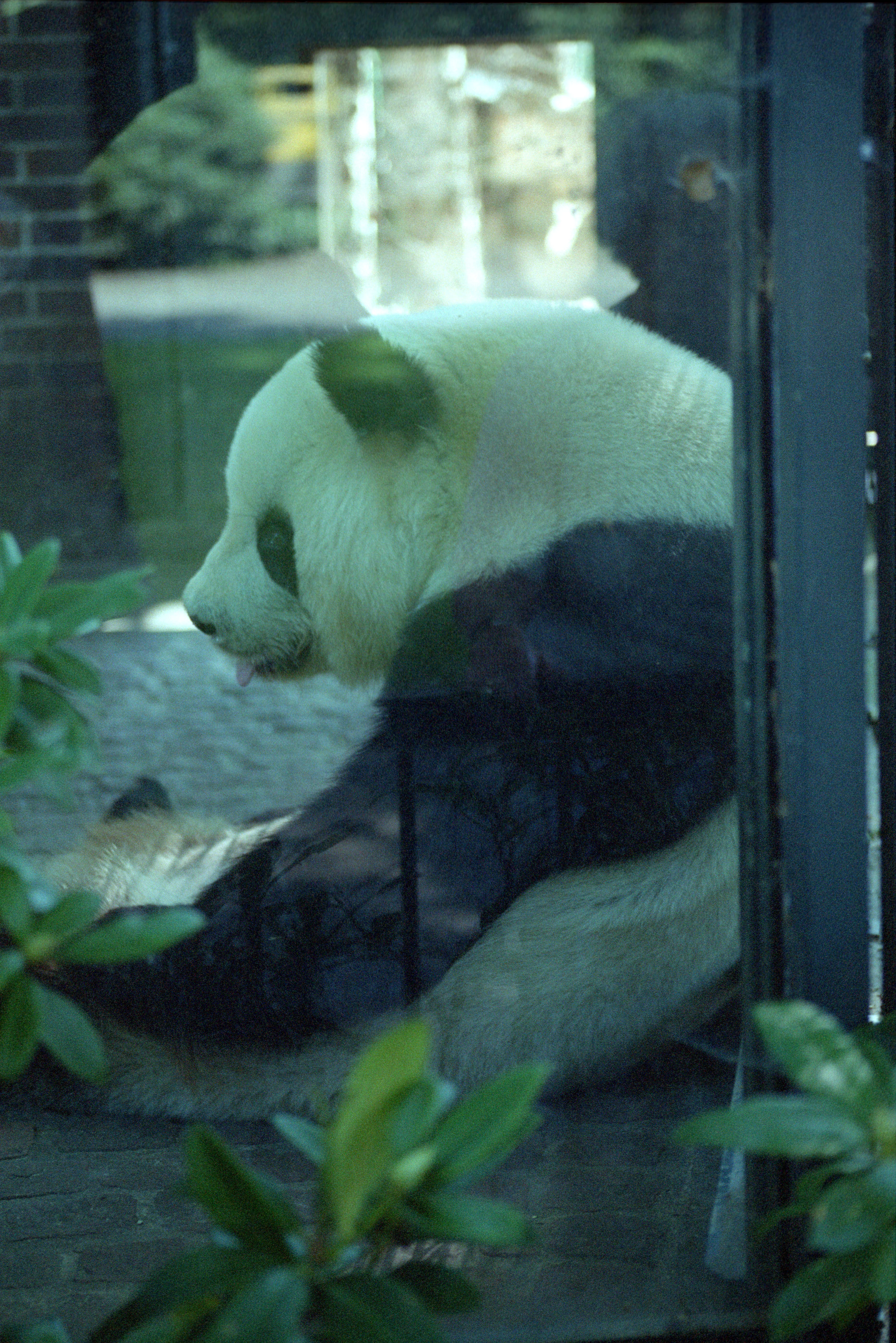 Zoo Berlin