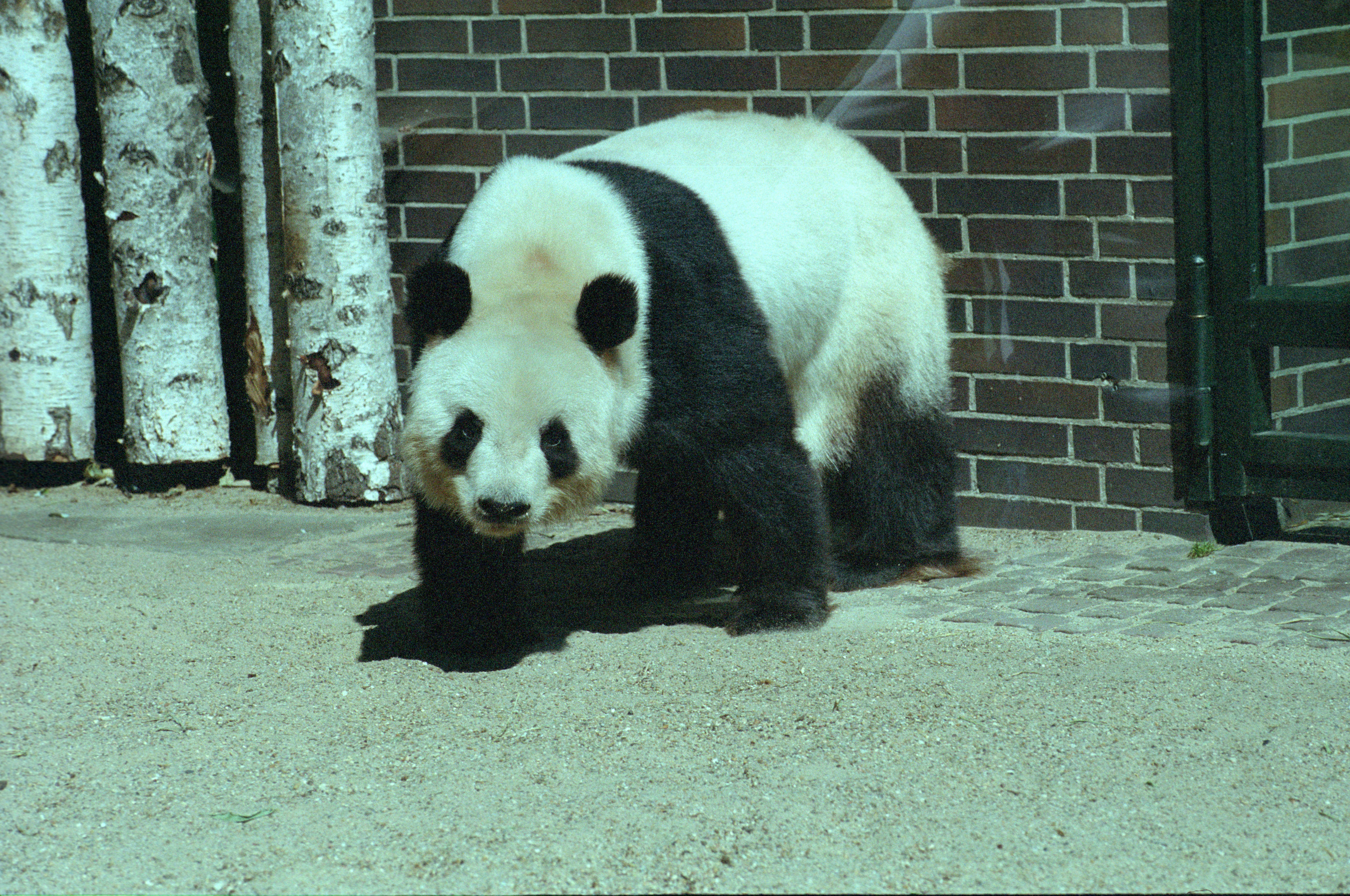 Zoo Berlin