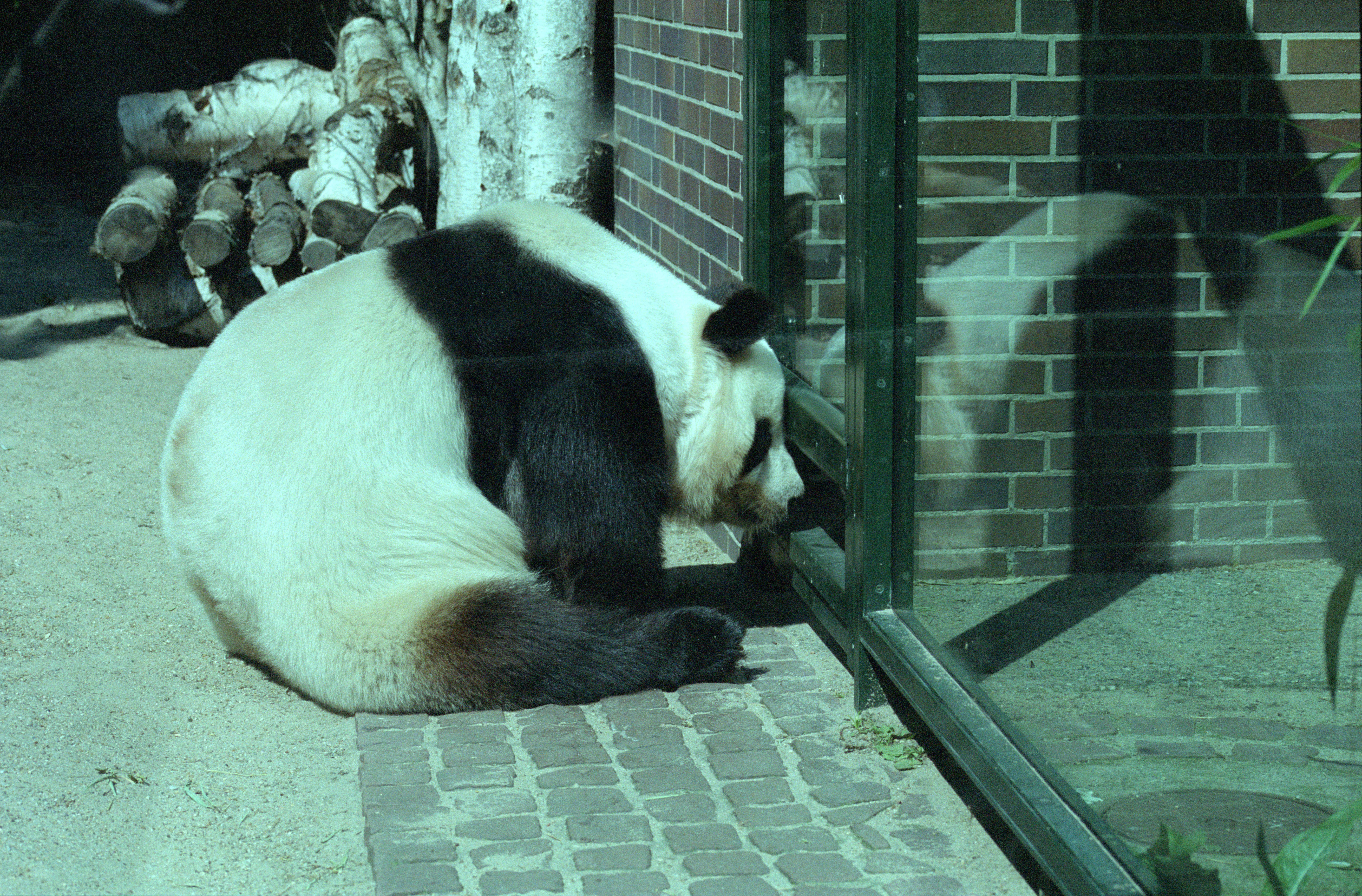 Zoo Berlin