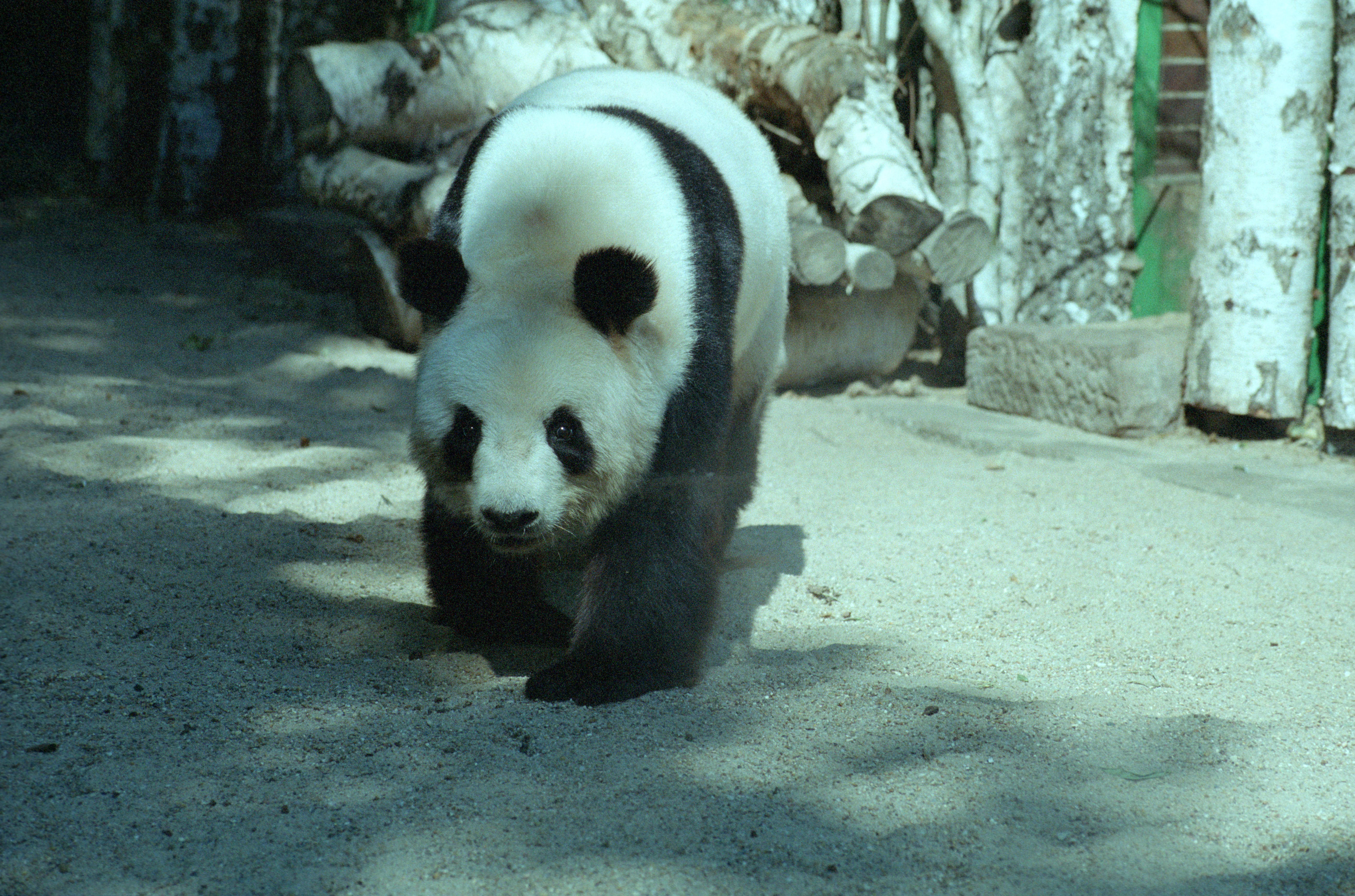 Zoo Berlin