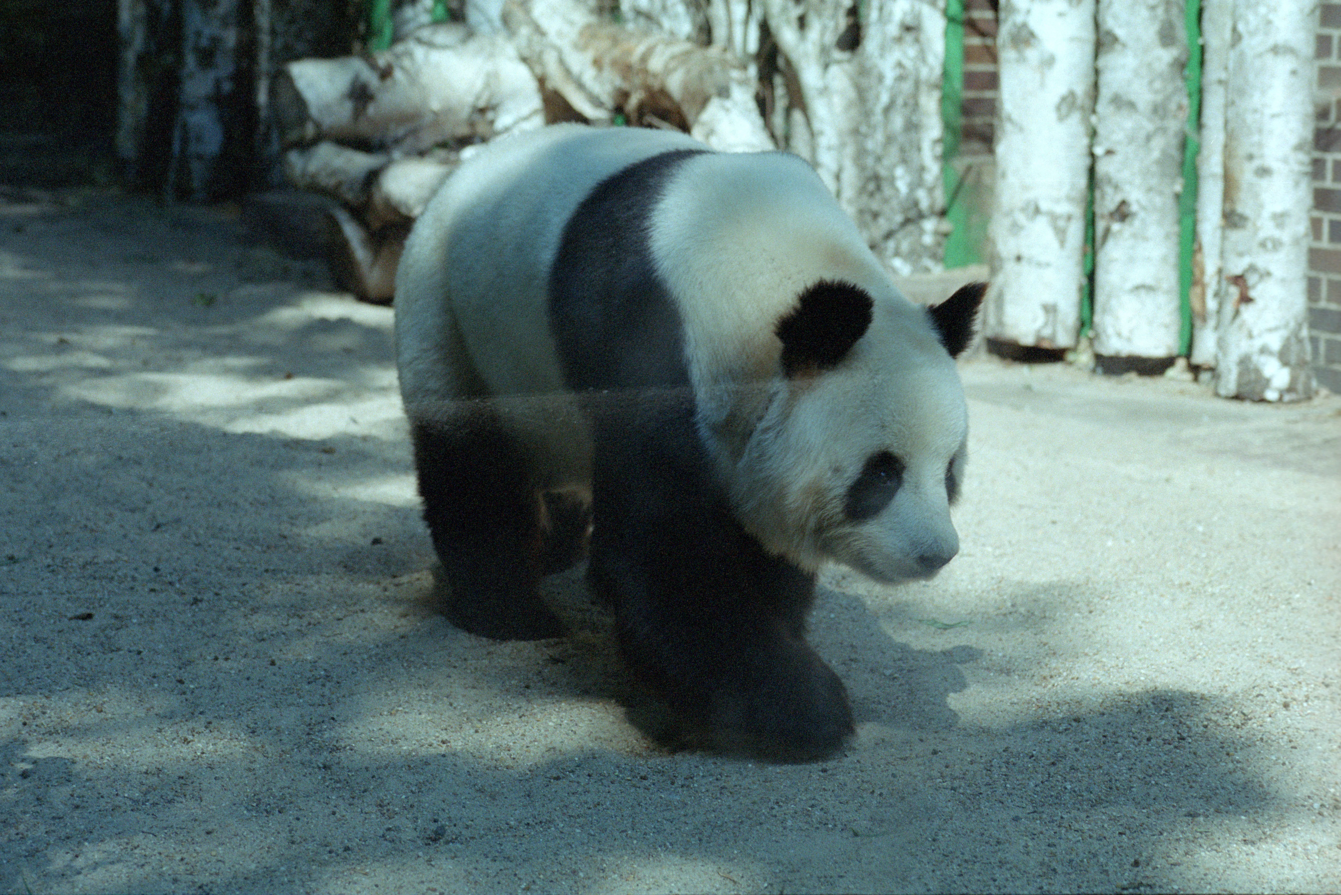 Zoo Berlin