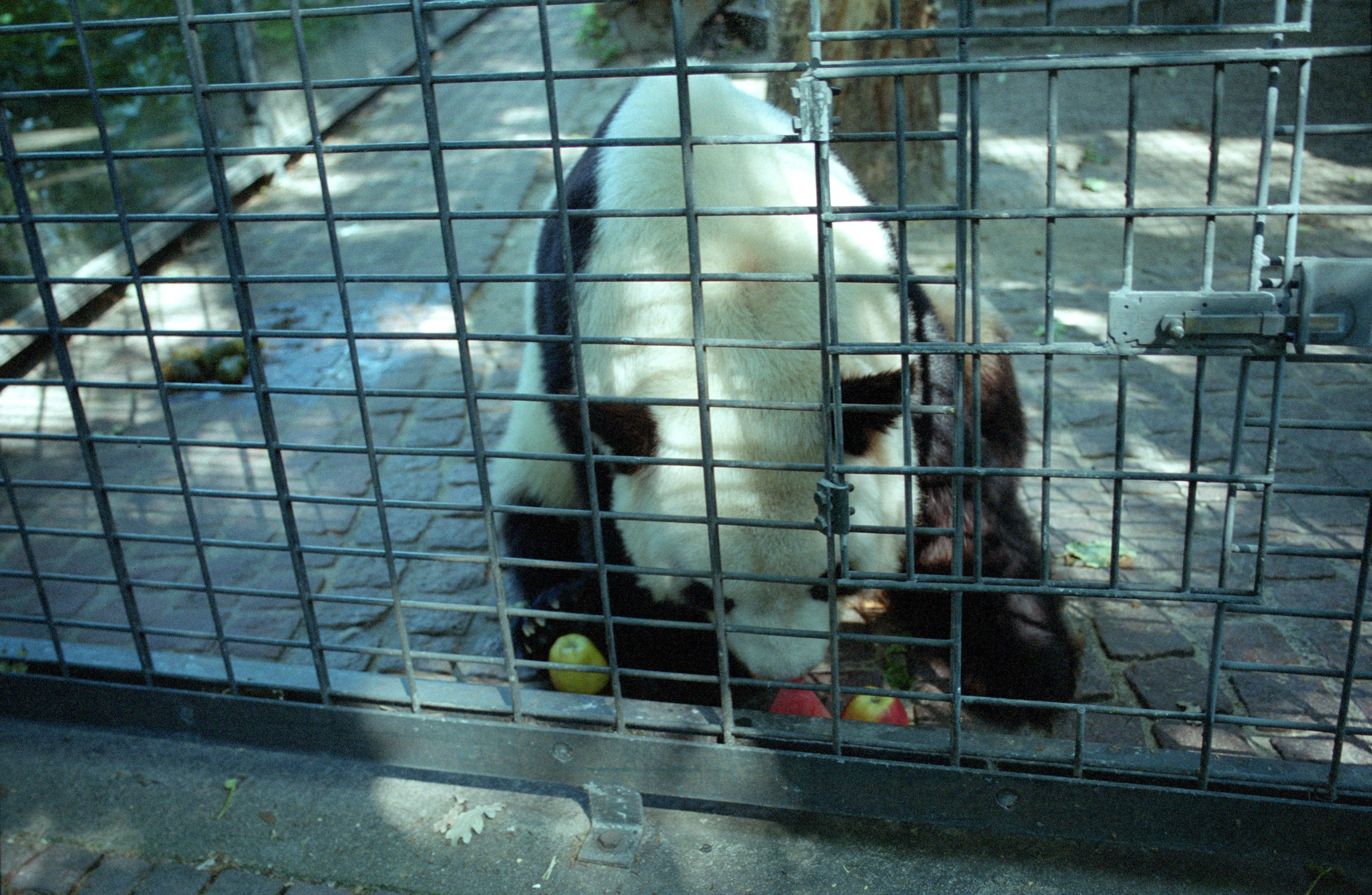 Zoo Berlin