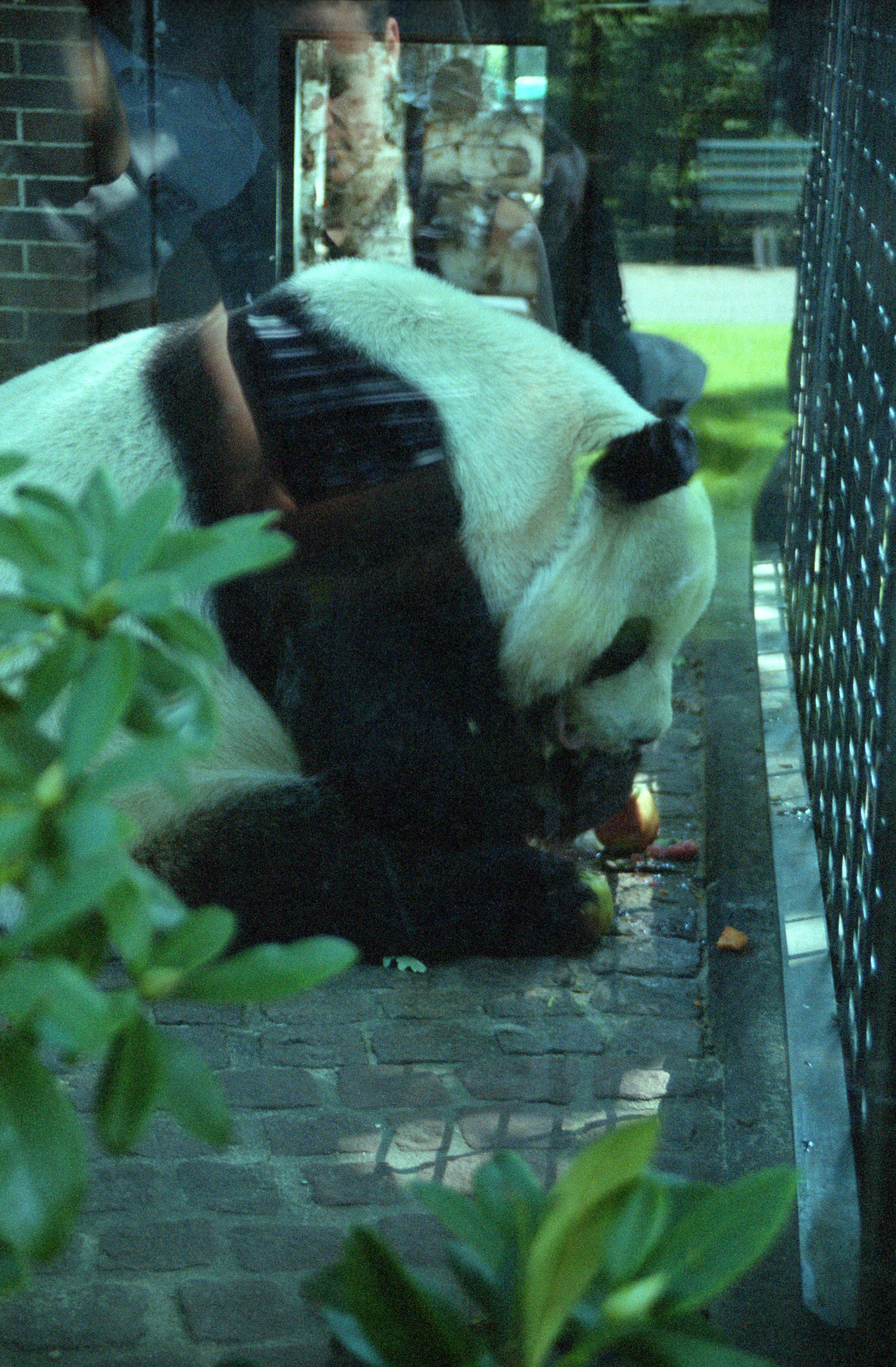 Zoo Berlin
