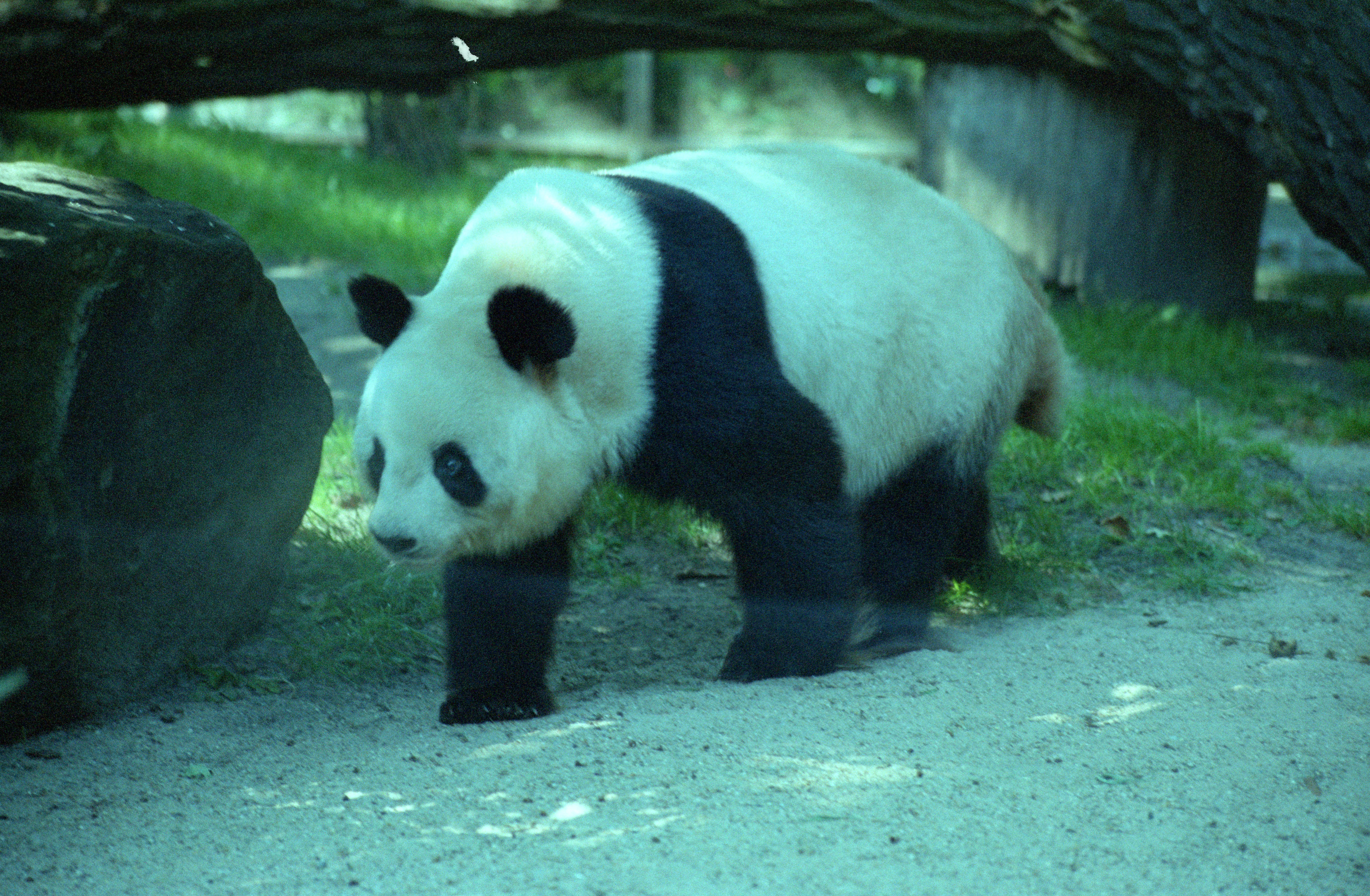 Zoo Berlin
