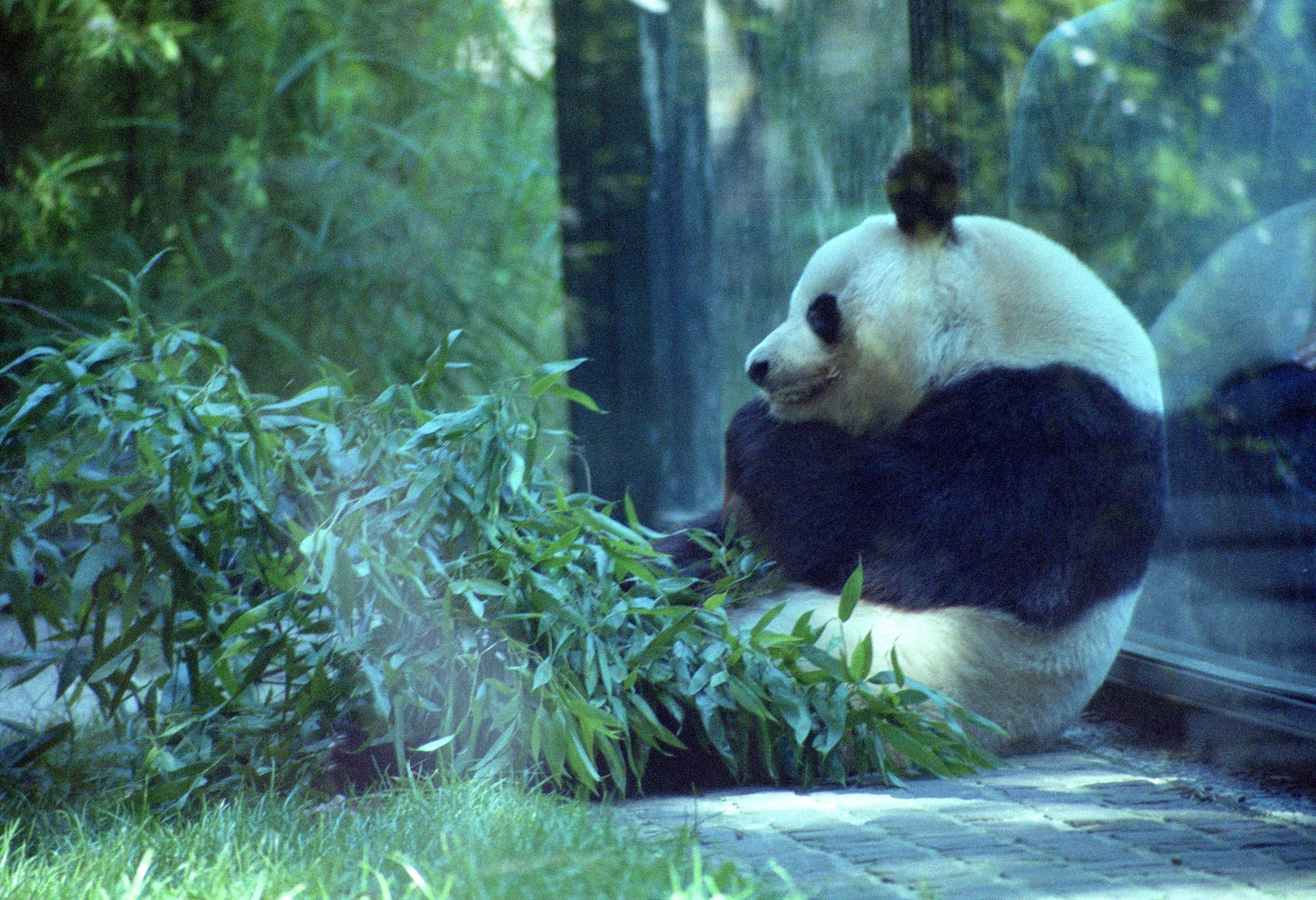 Zoo Berlin