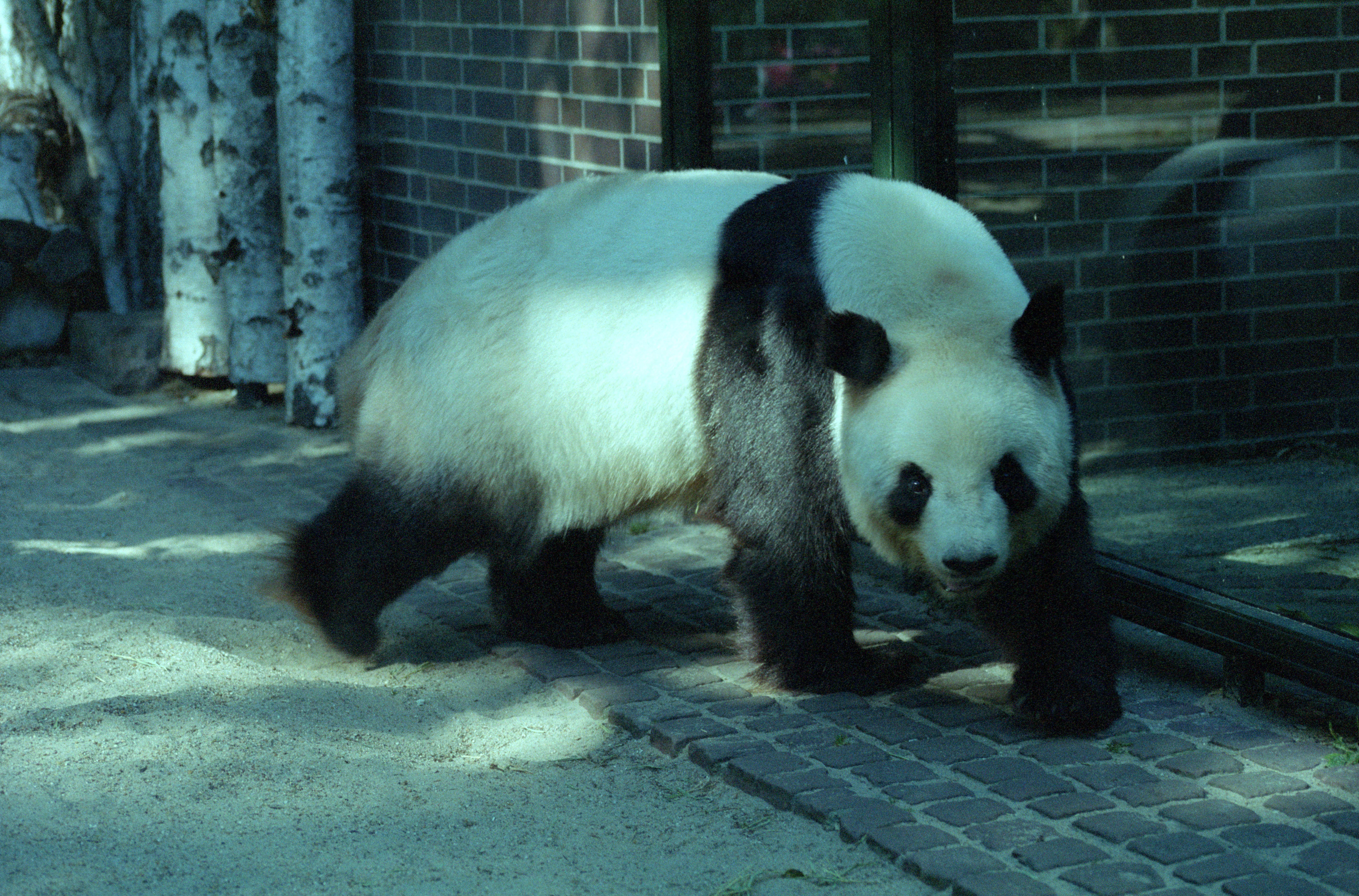 Zoo Berlin