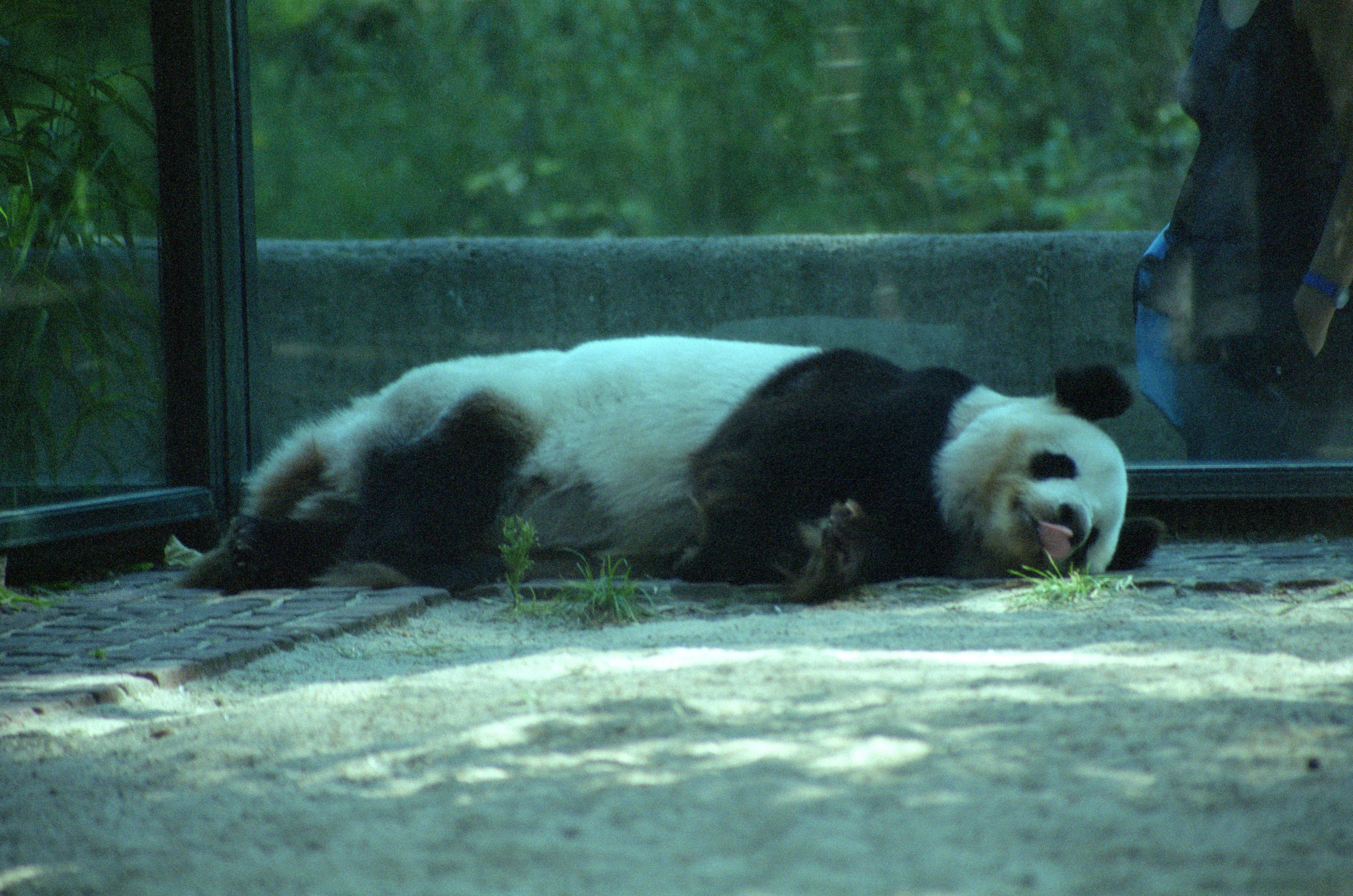 Zoo Berlin