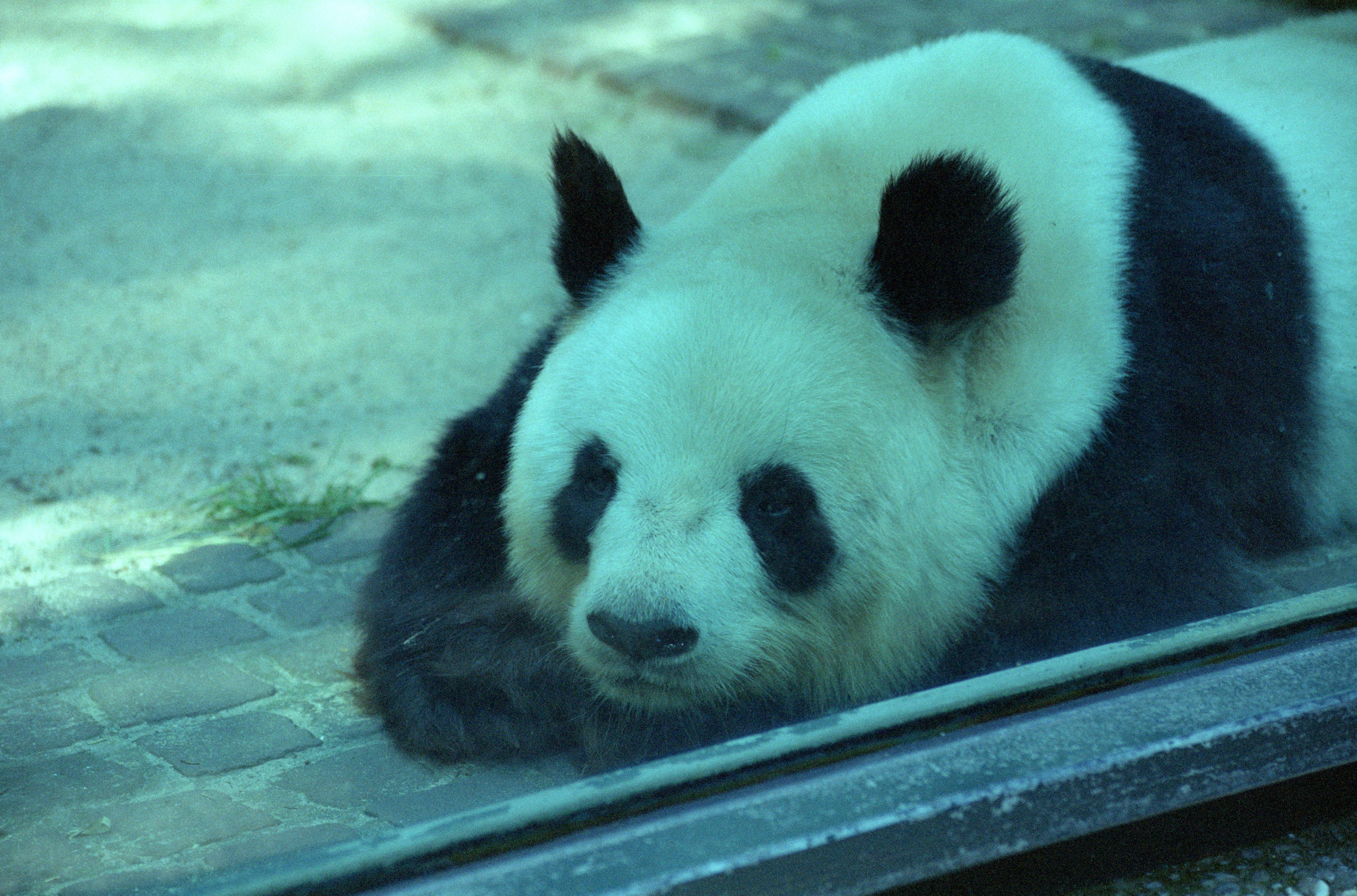 Zoo Berlin