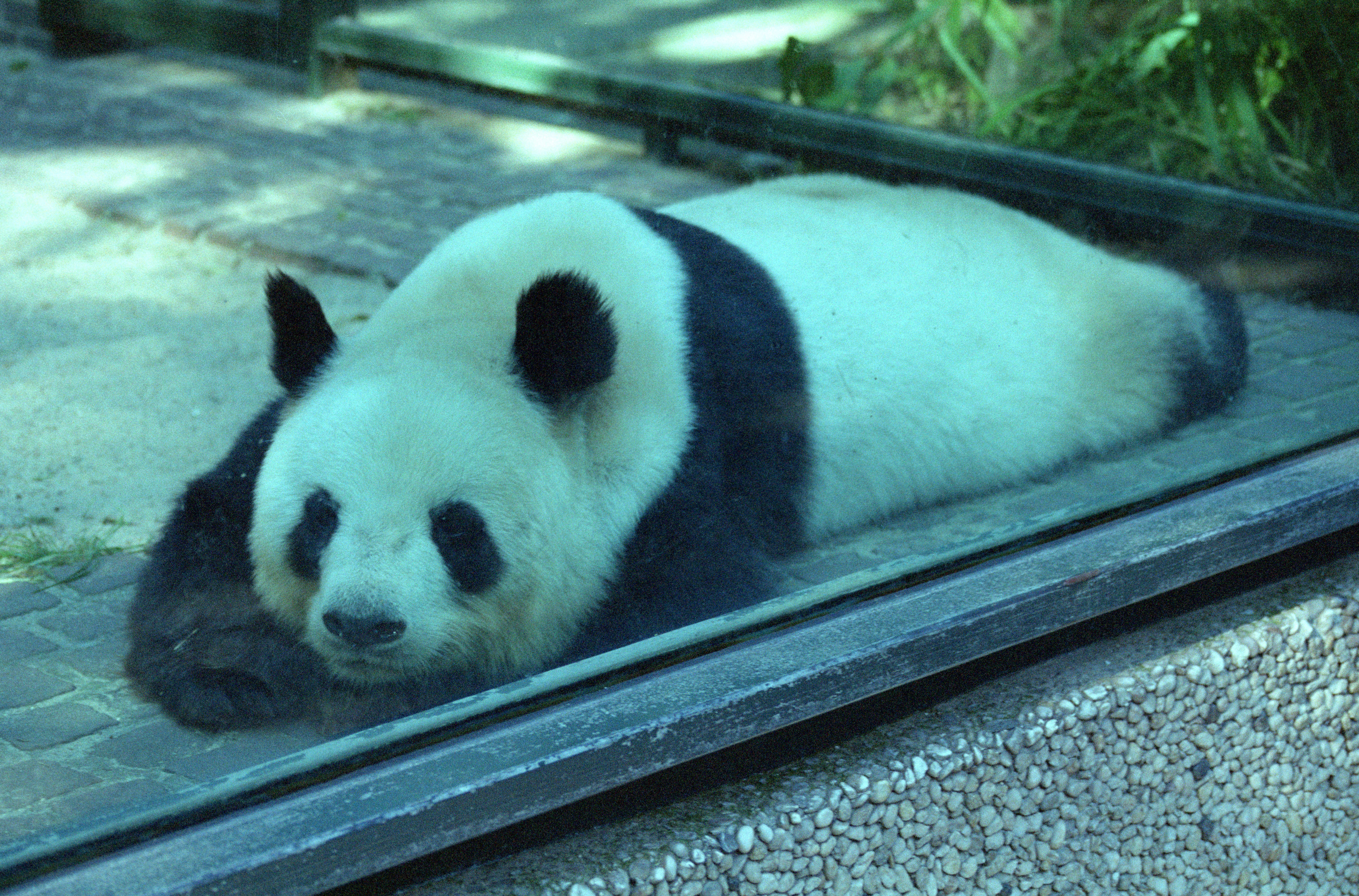 Zoo Berlin