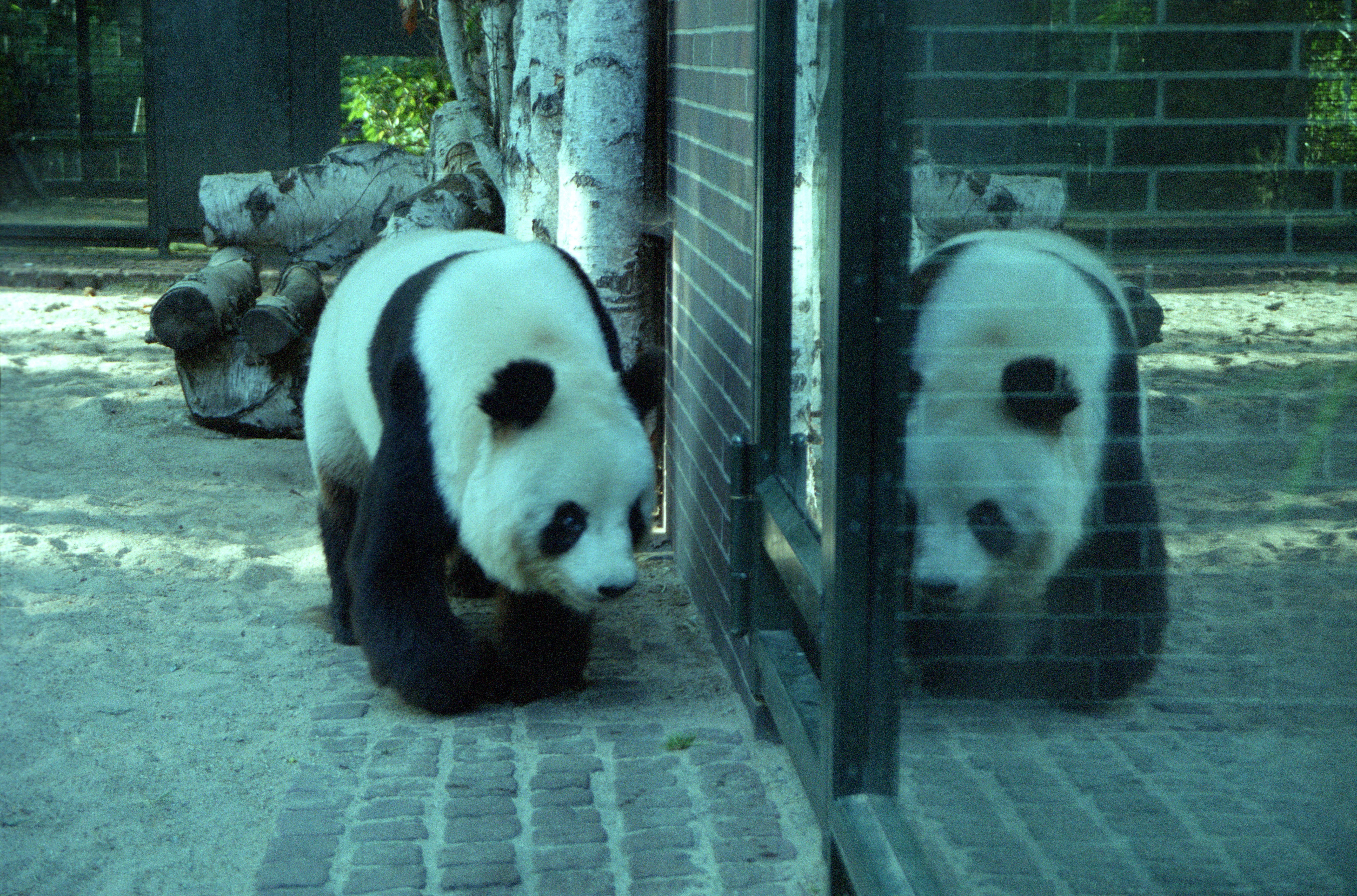 Zoo Berlin