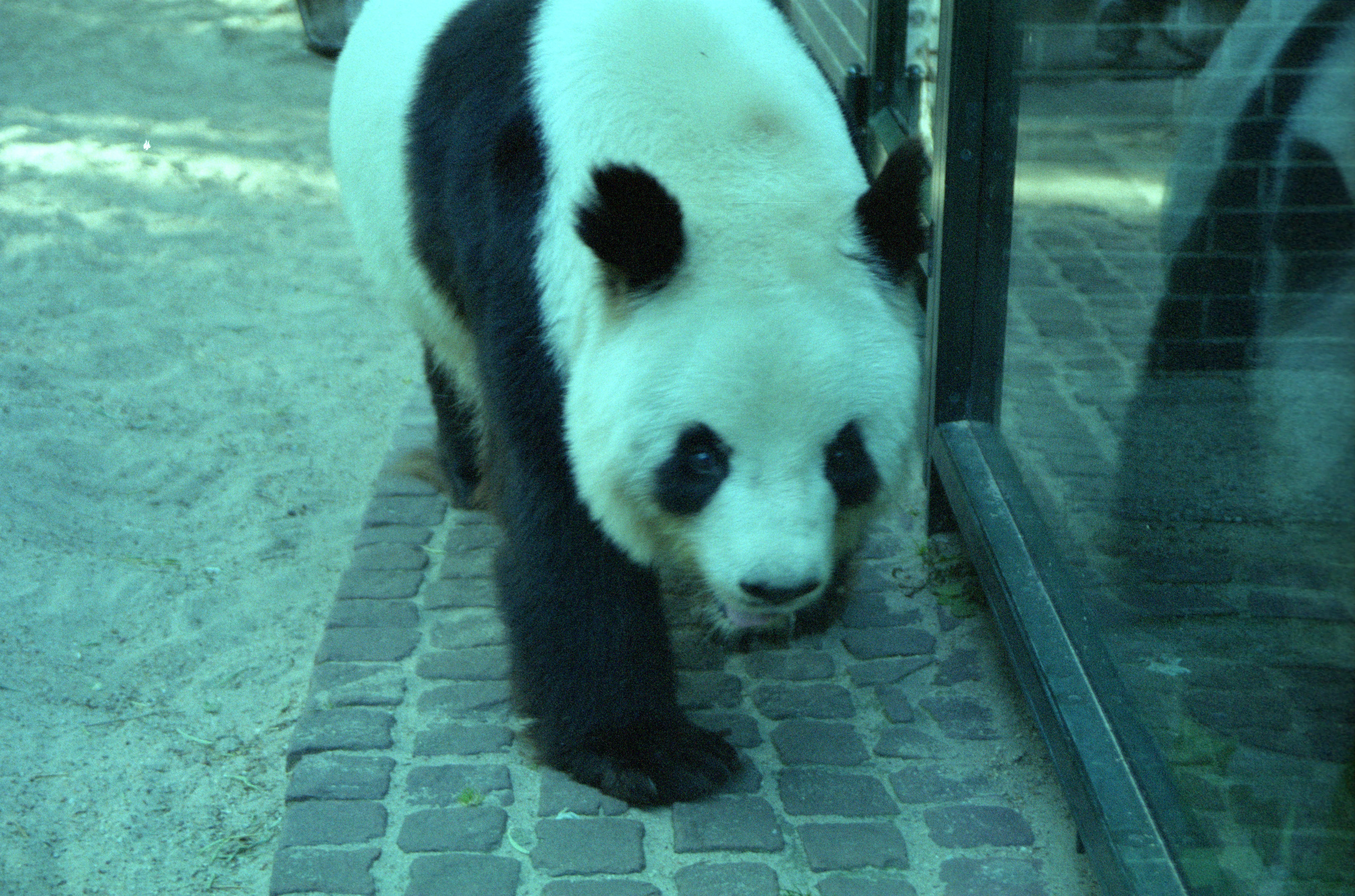 Zoo Berlin